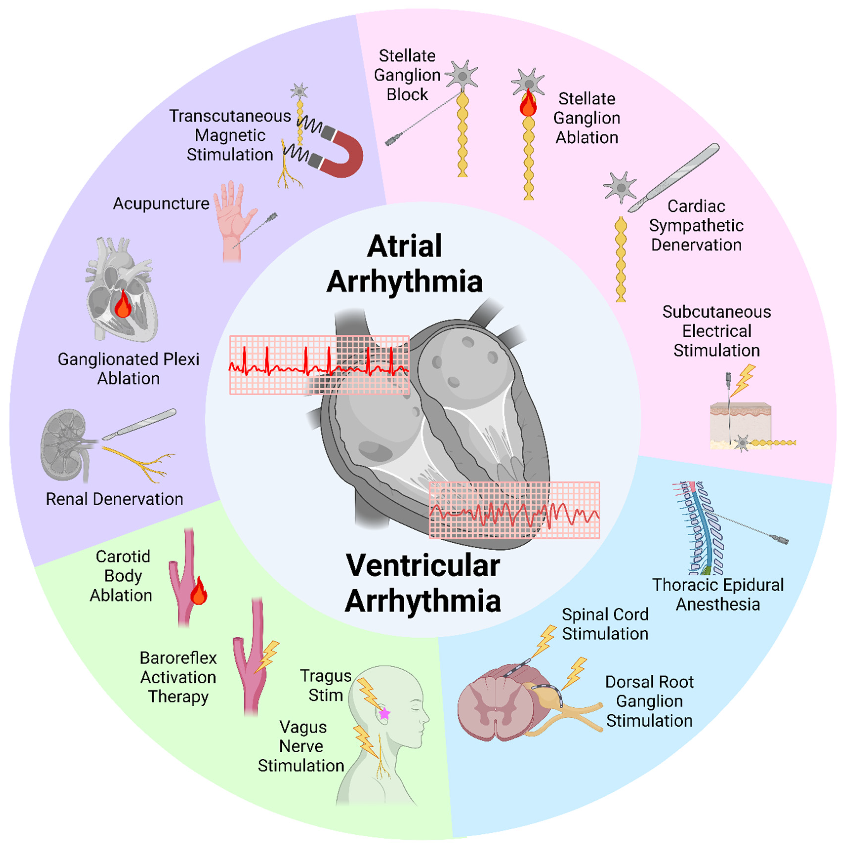 Biomedicines 13 01776 g001 Biomedicines 13 01776 g001
