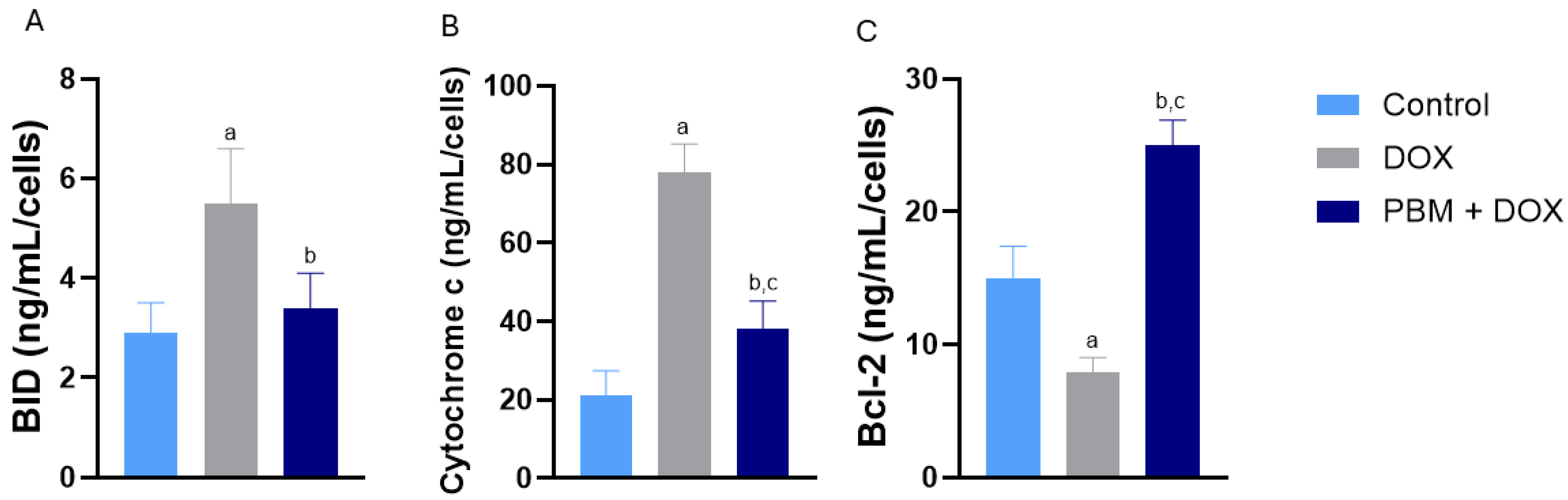 Biomedicines 13 01781 g002