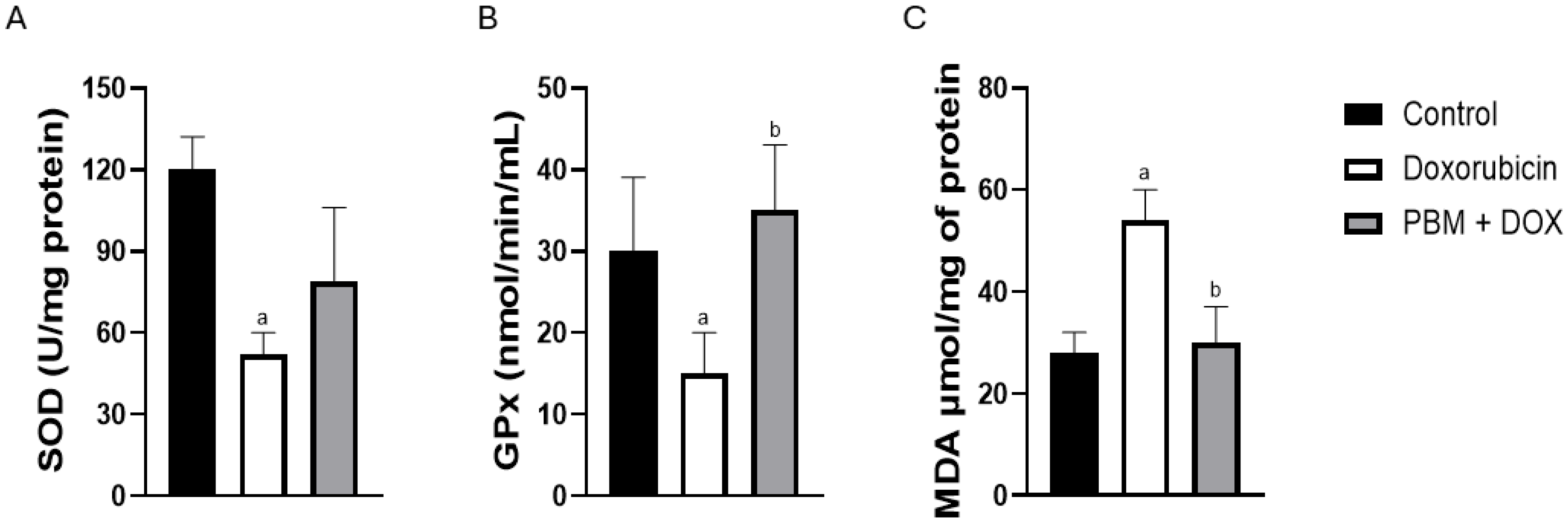 Biomedicines 13 01781 g004