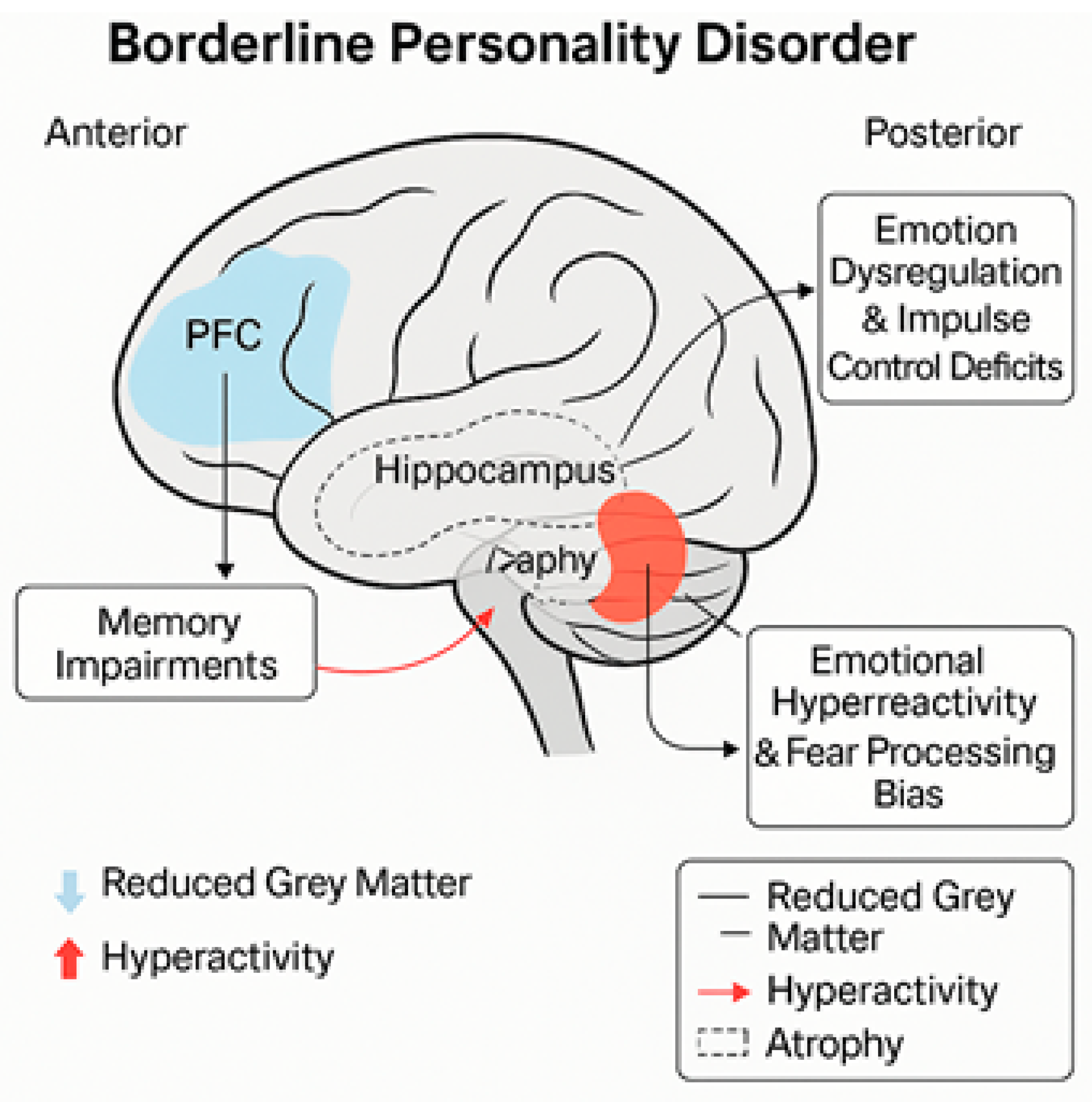 Biomedicines 13 01783 g002 Biomedicines 13 01783 g002