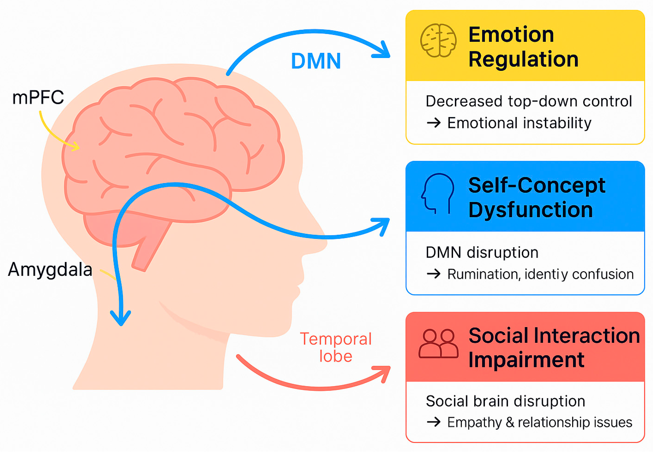 Biomedicines 13 01783 g004 Biomedicines 13 01783 g004