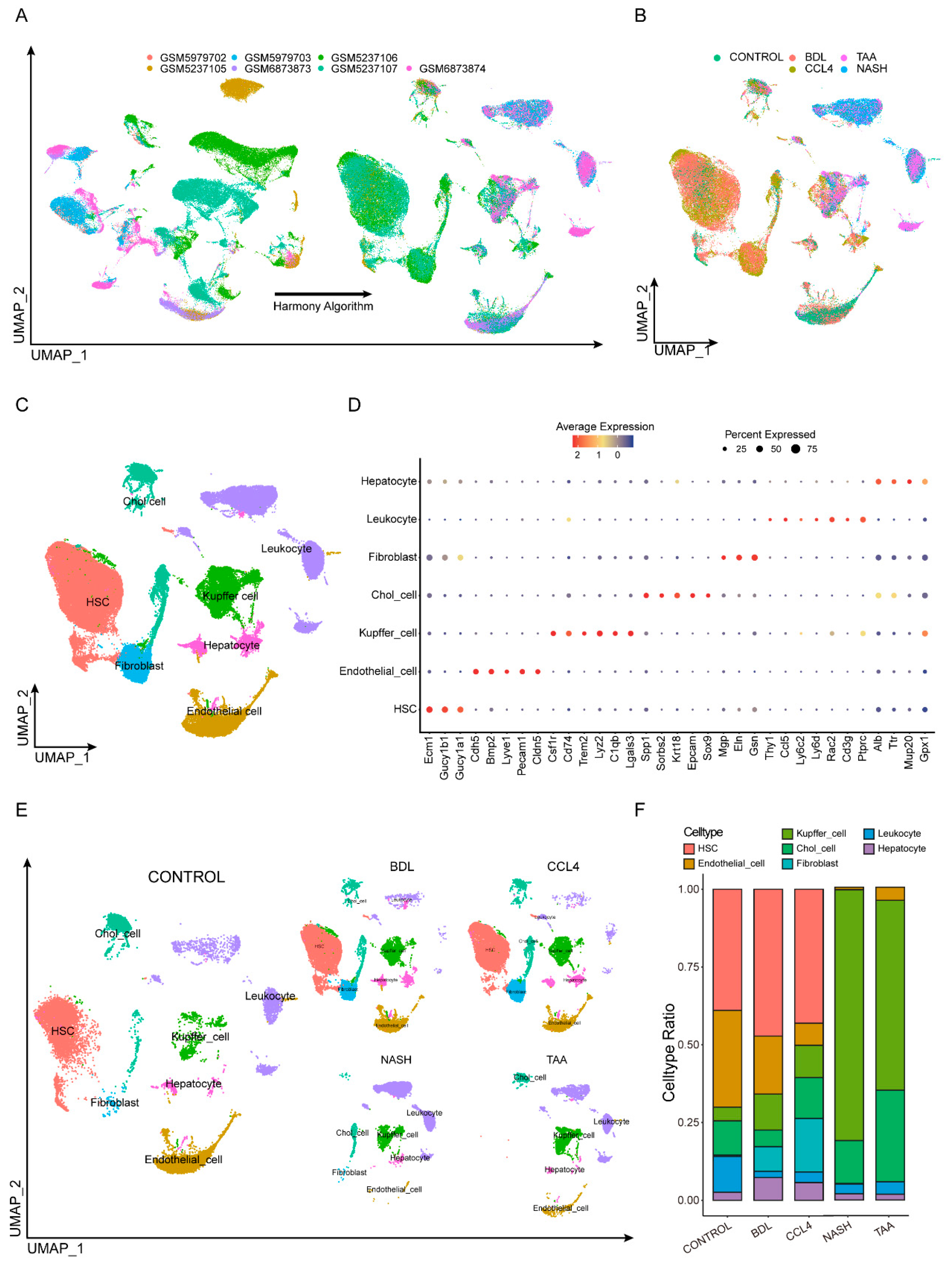 Biomedicines 13 01788 g001