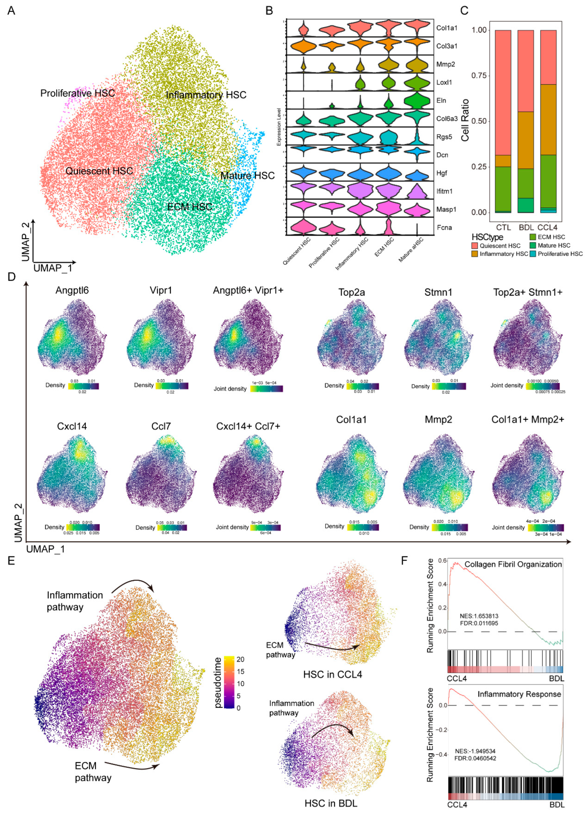 Biomedicines 13 01788 g002