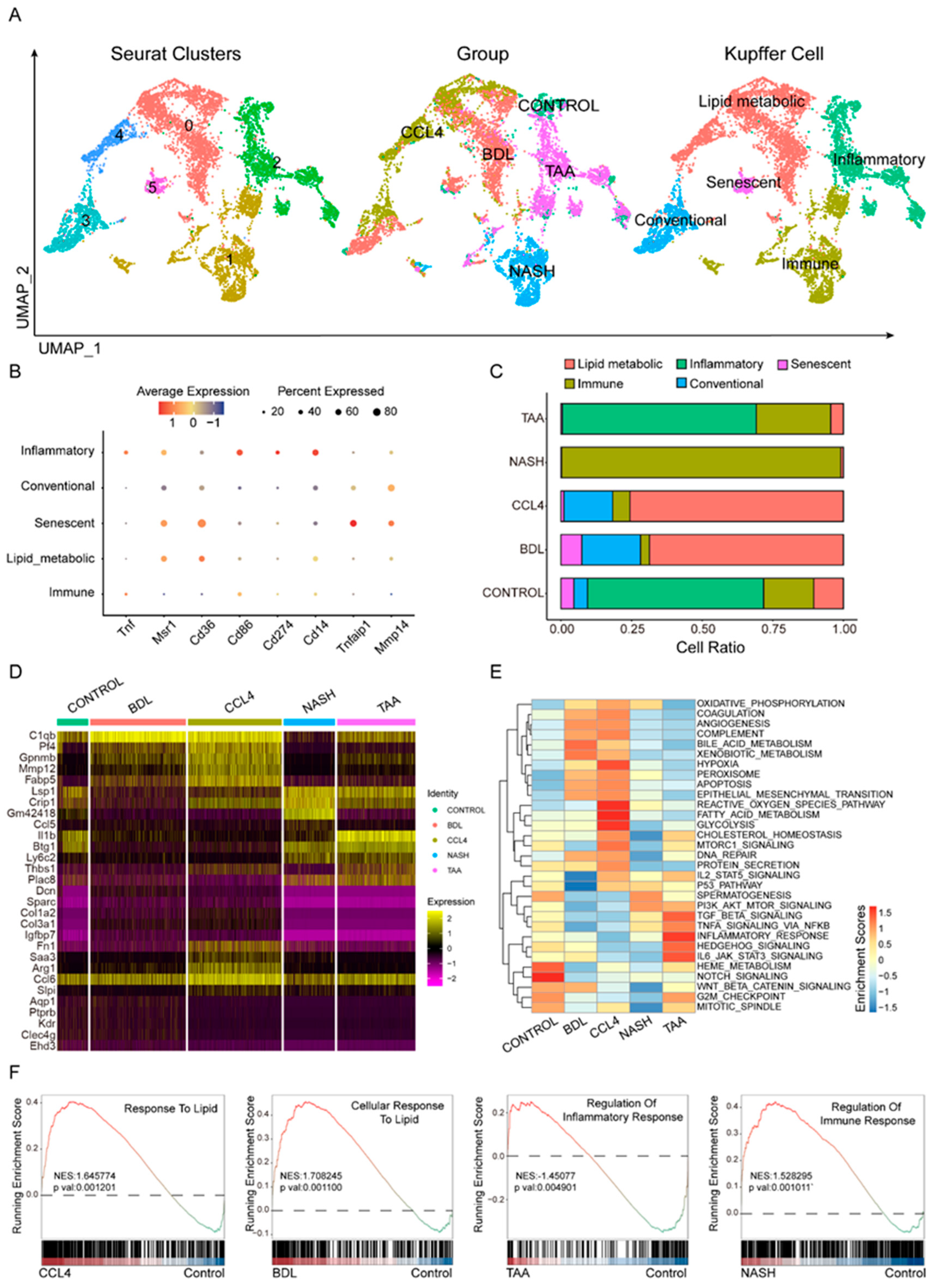 Biomedicines 13 01788 g003