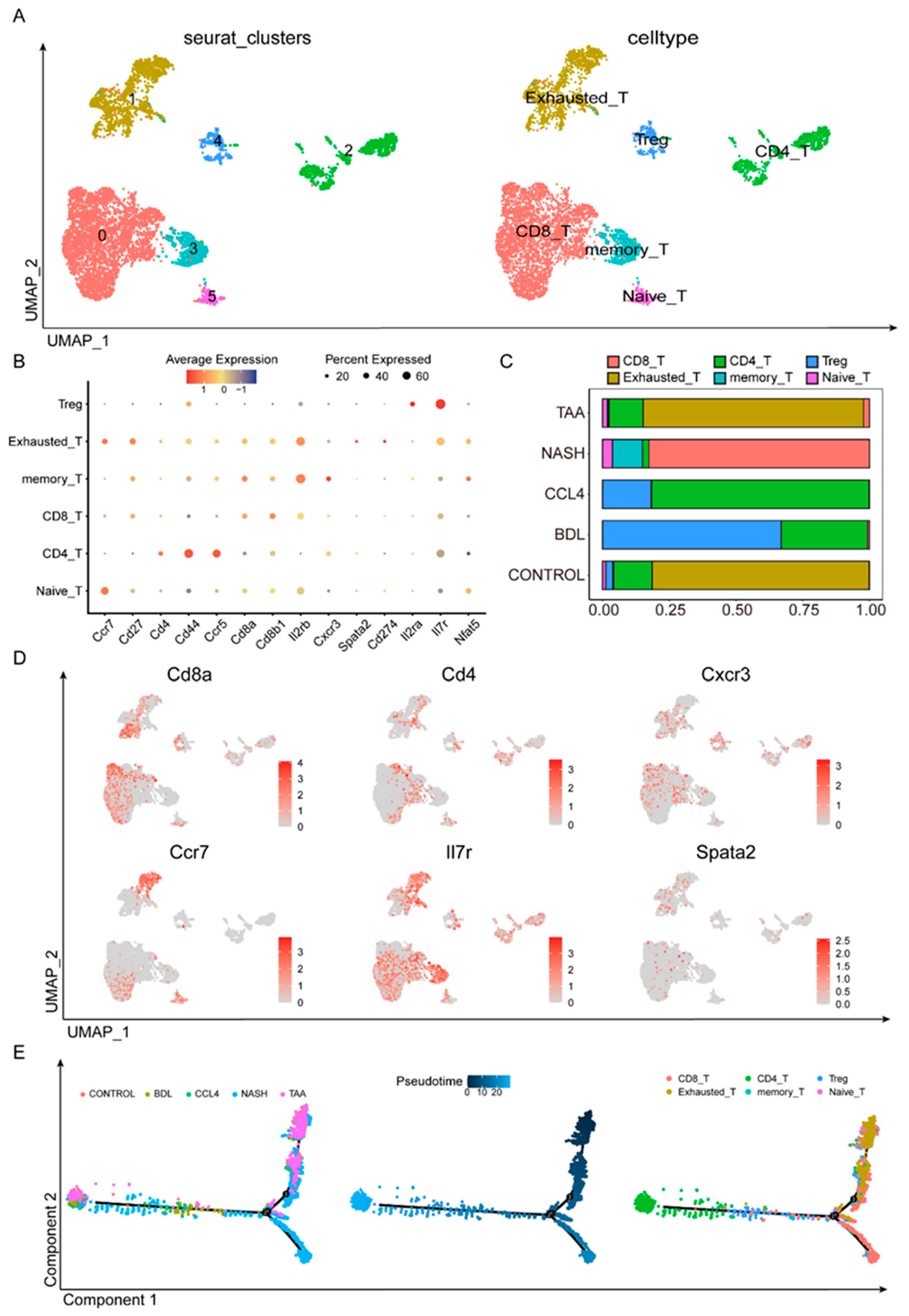 Biomedicines 13 01788 g004