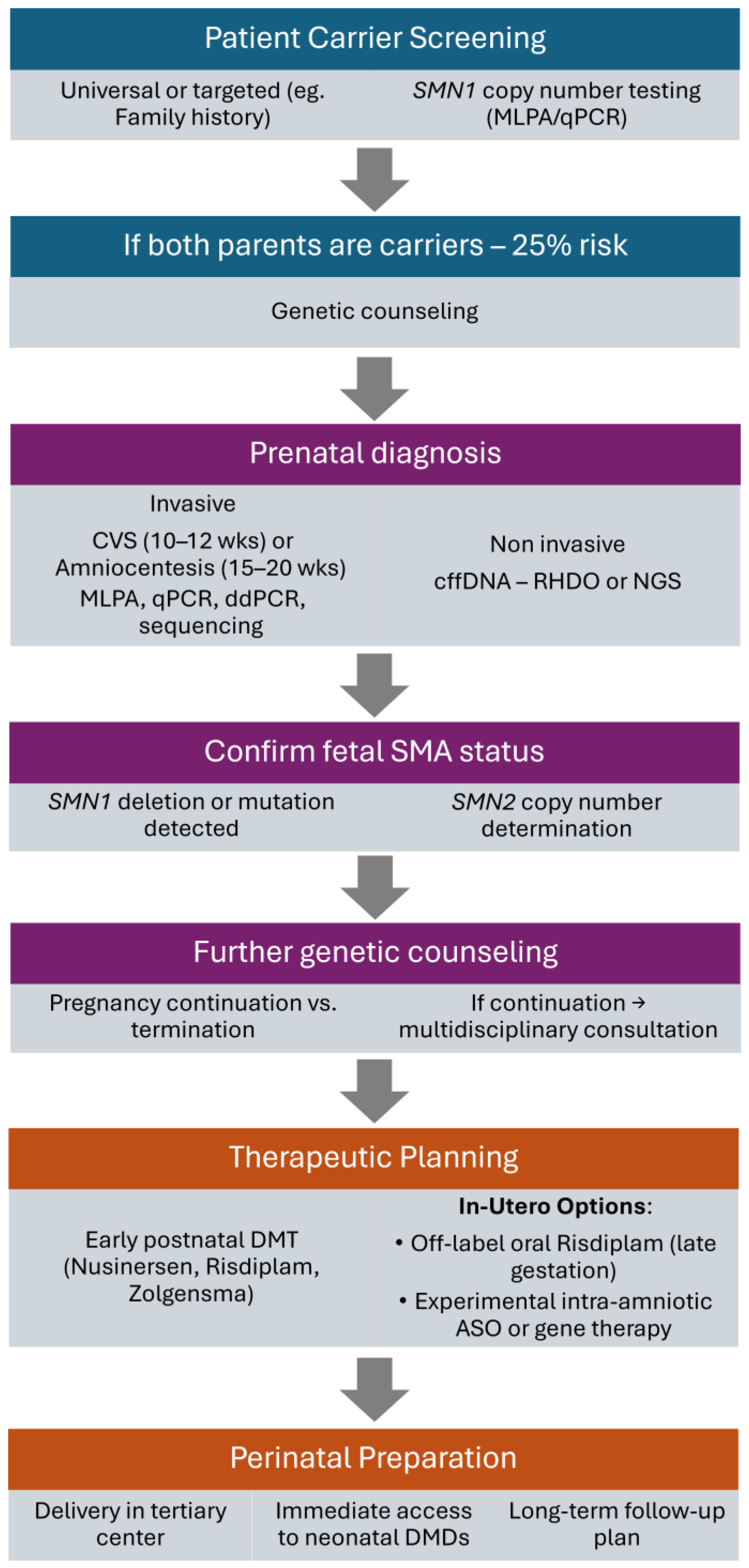 Biomedicines 13 01796 g001 Biomedicines 13 01796 g001