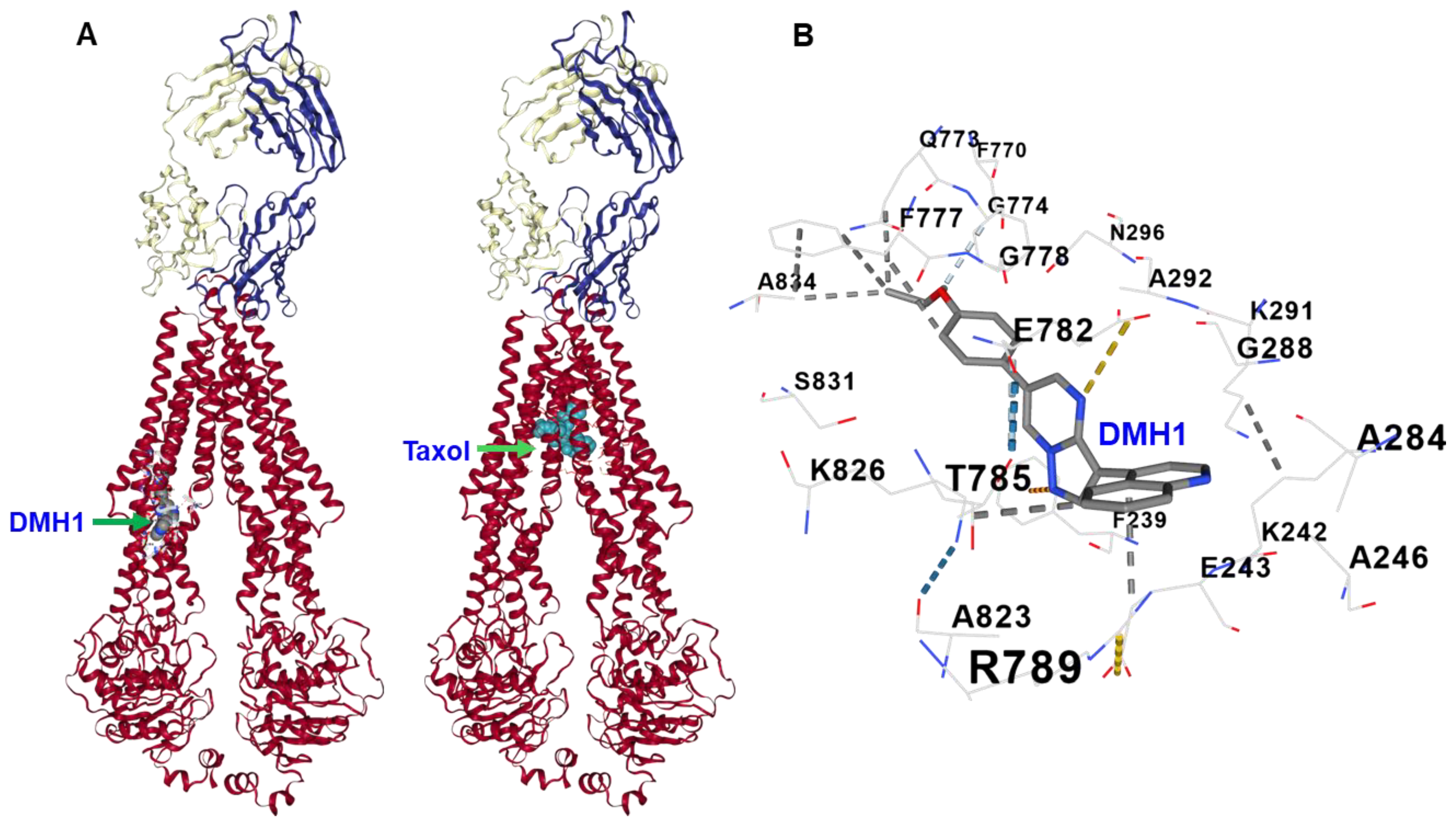 Biomedicines 13 01798 g006