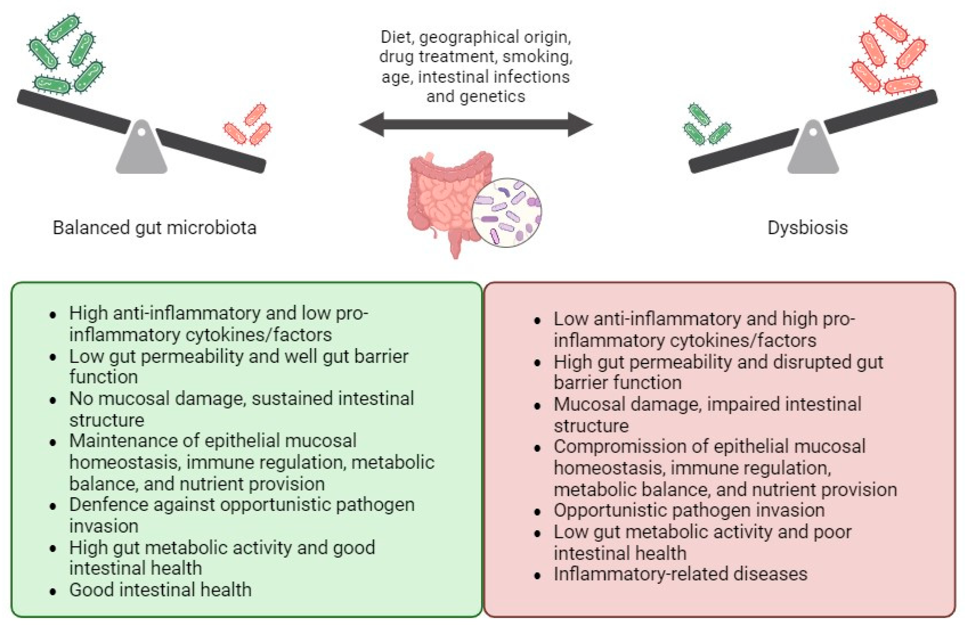 Biomedicines 13 01807 g001