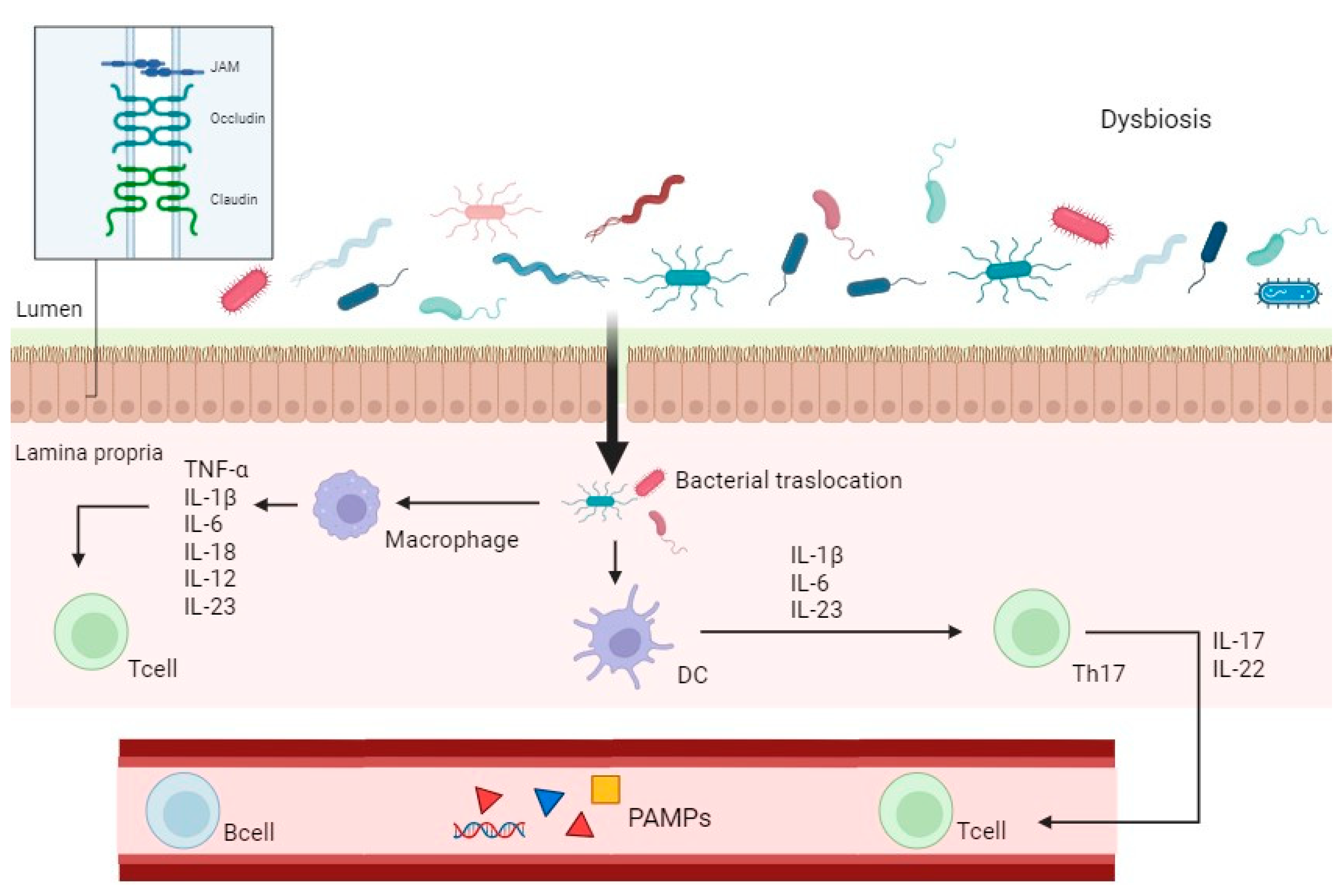 Biomedicines 13 01807 g002