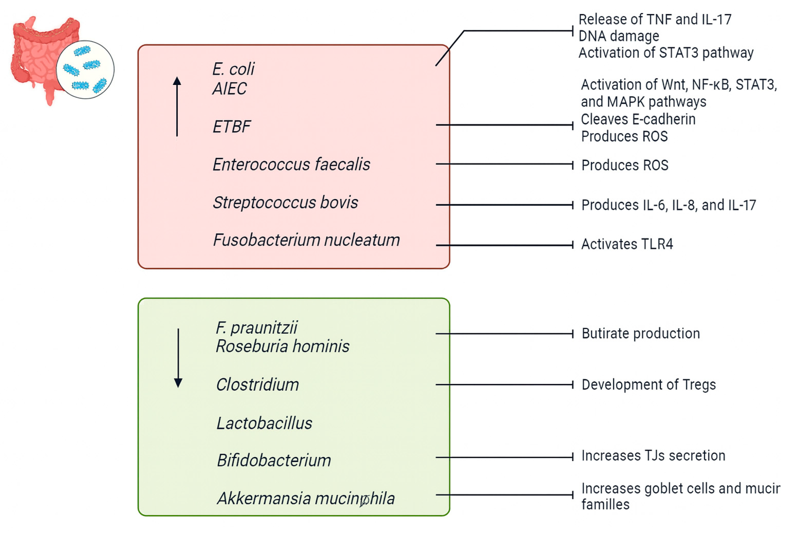 Biomedicines 13 01807 g003