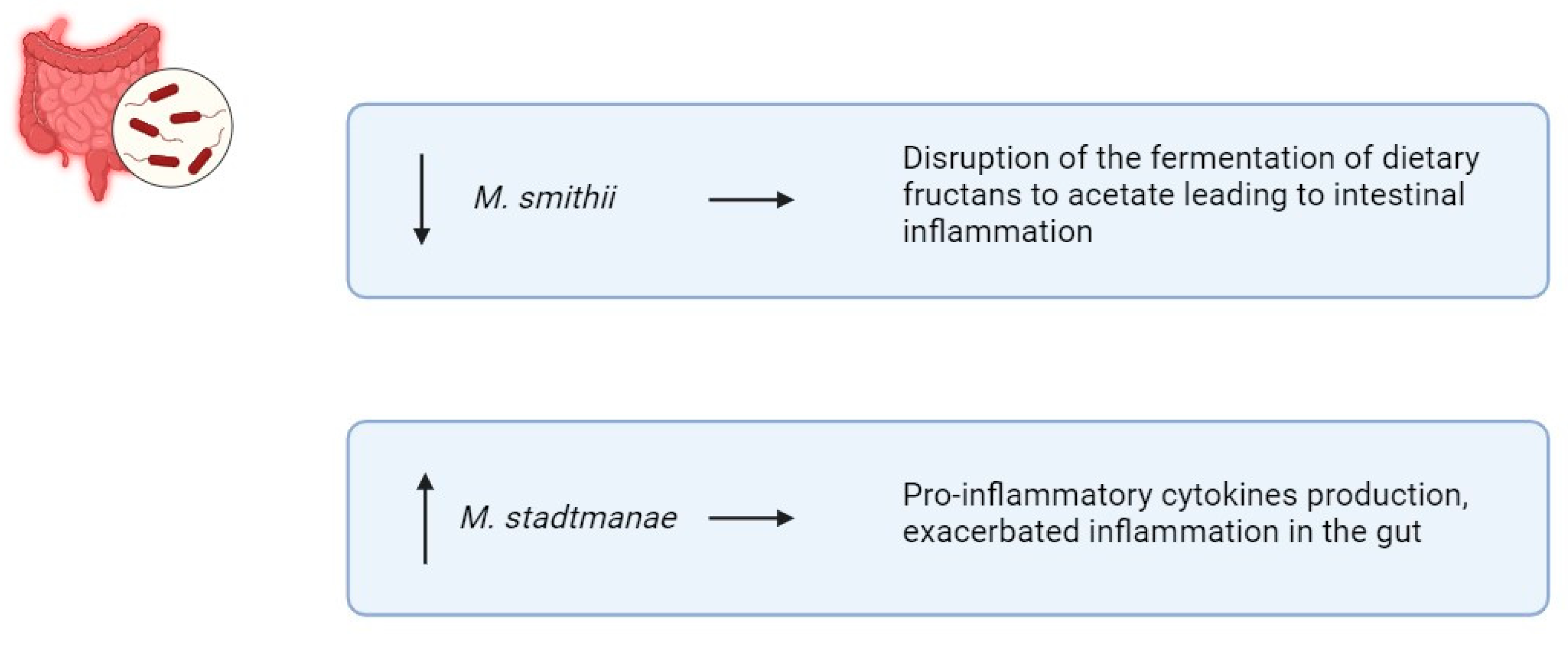 Biomedicines 13 01807 g005