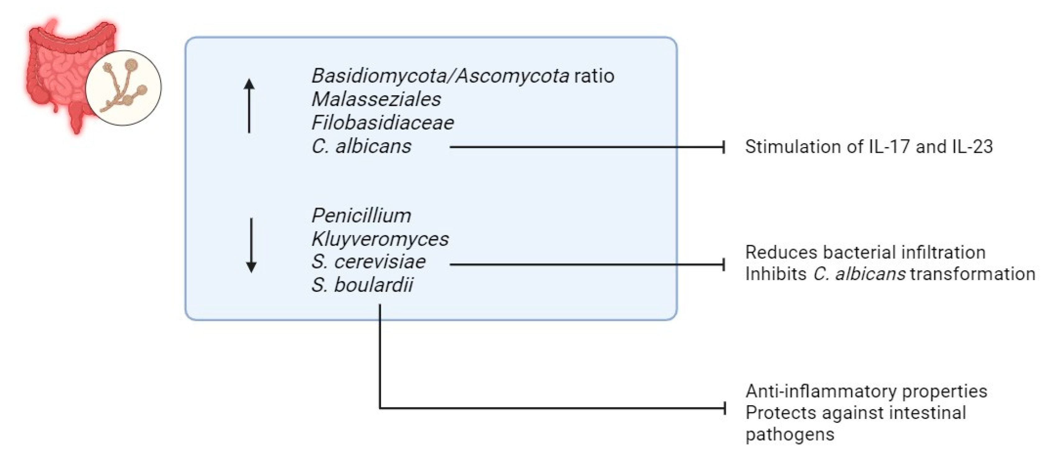 Biomedicines 13 01807 g006