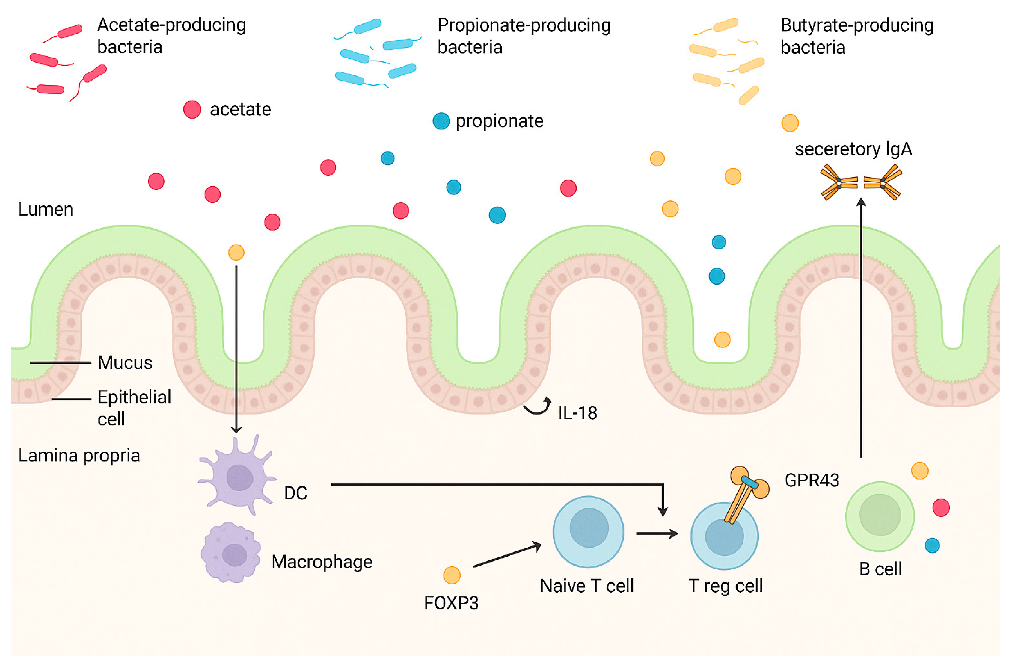 Biomedicines 13 01807 g007
