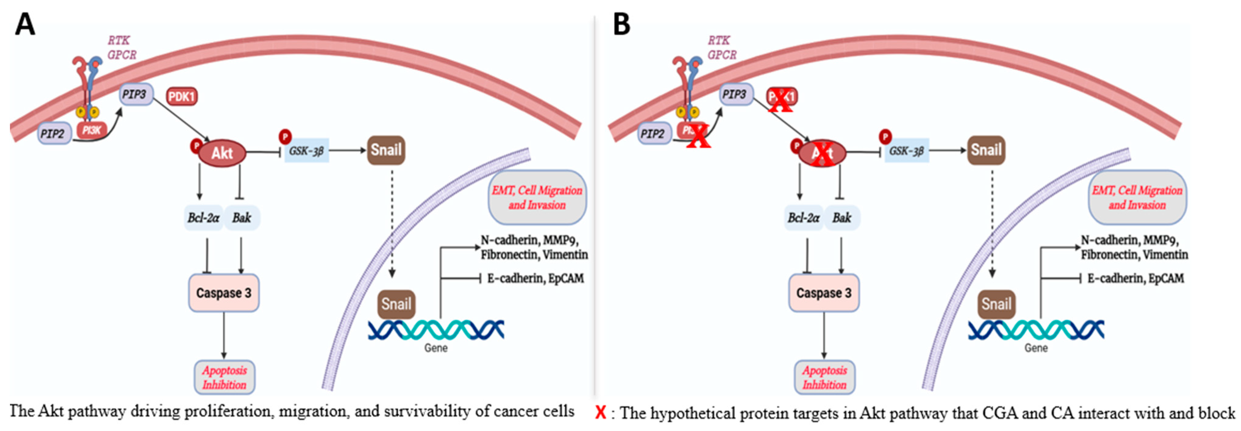 Biomedicines 13 01810 g001