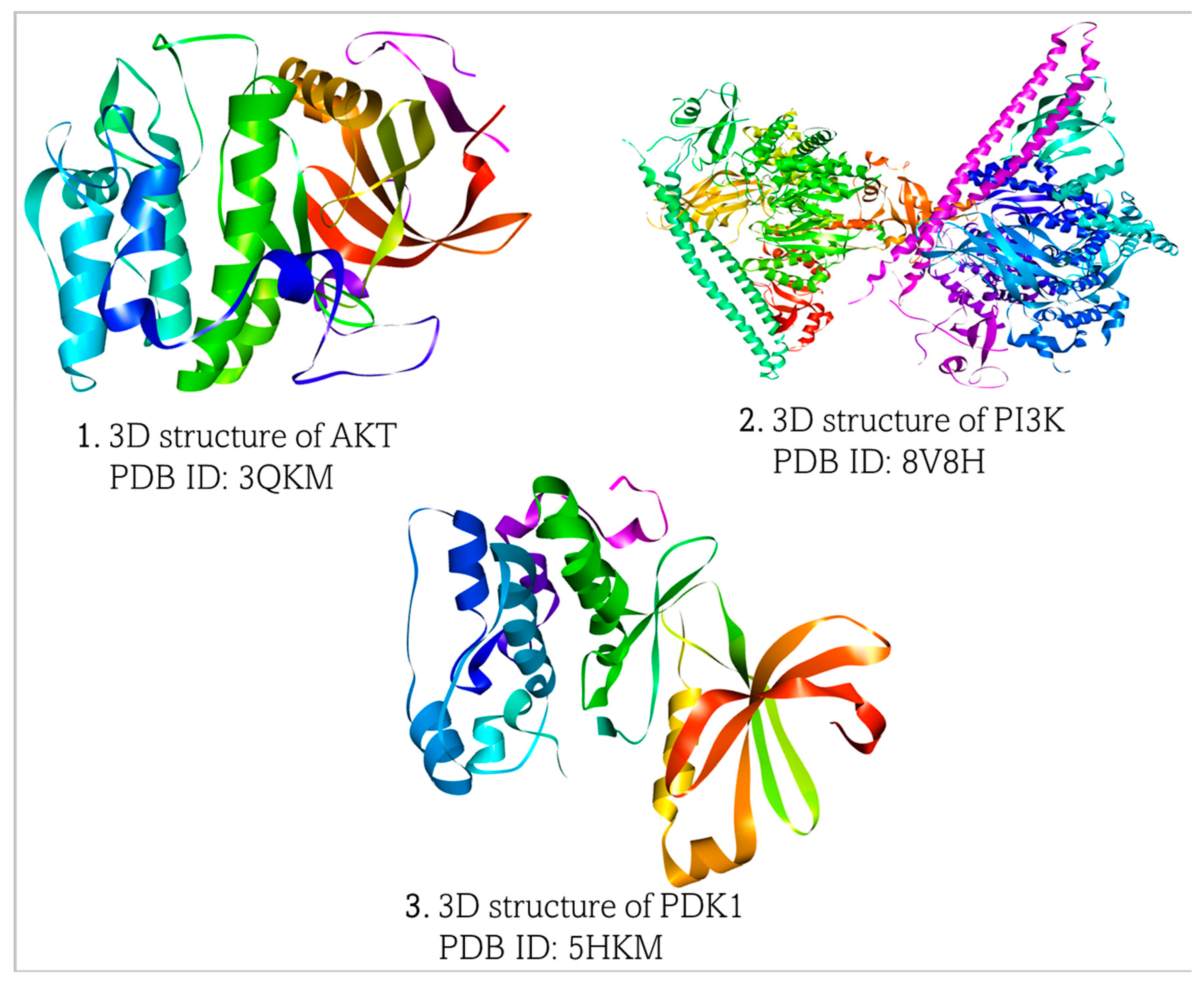Biomedicines 13 01810 g002