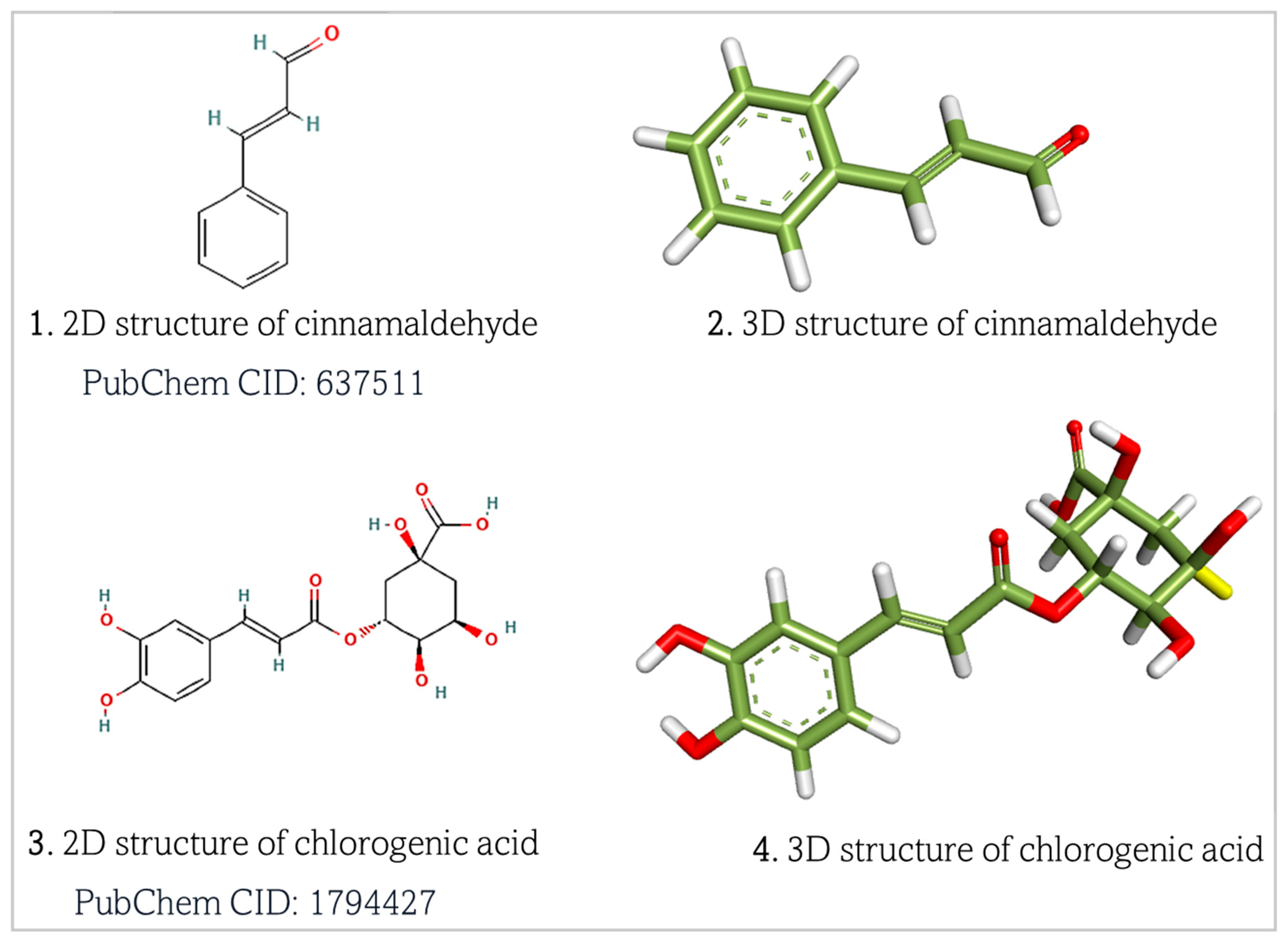Biomedicines 13 01810 g003