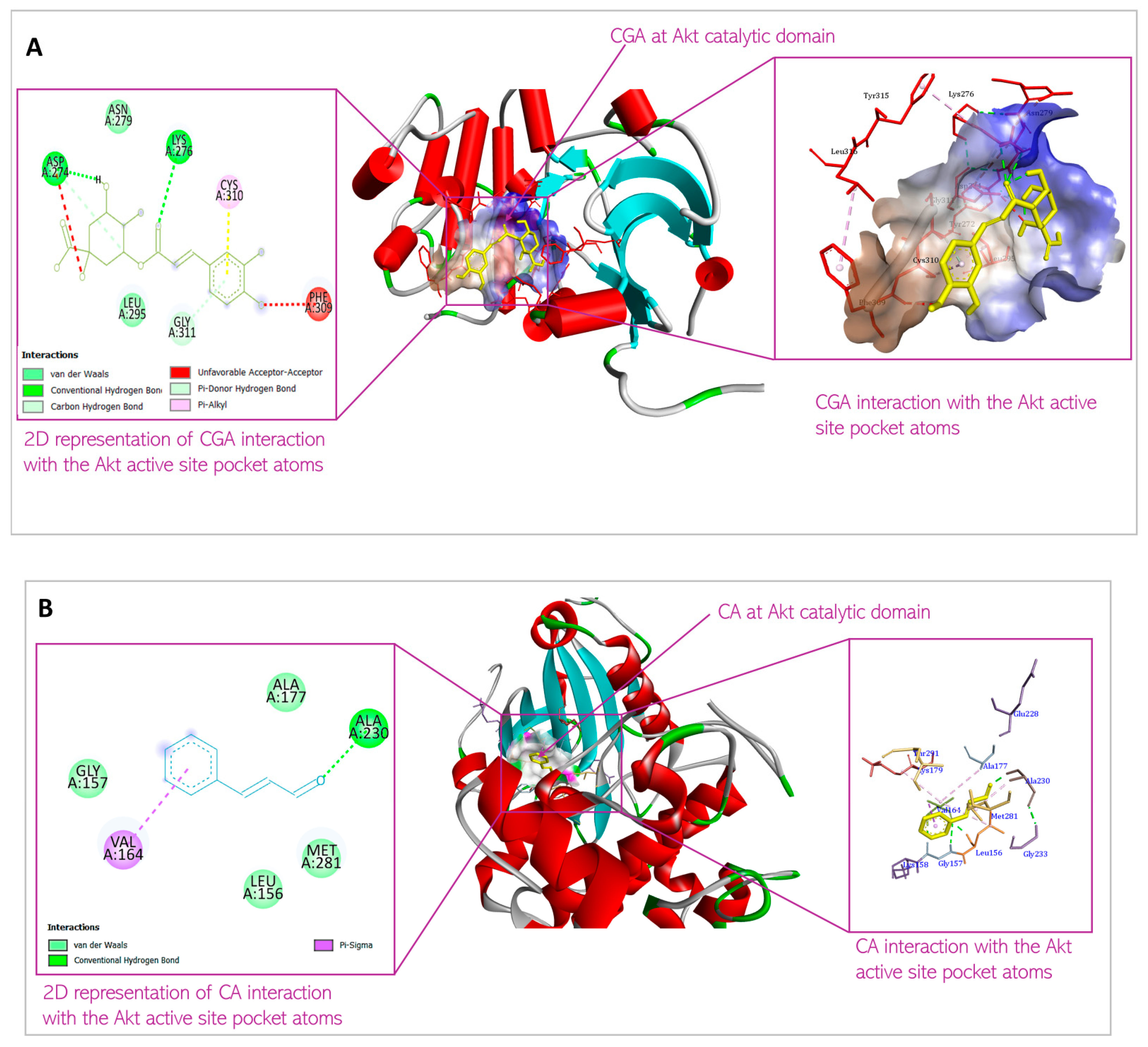 Biomedicines 13 01810 g004