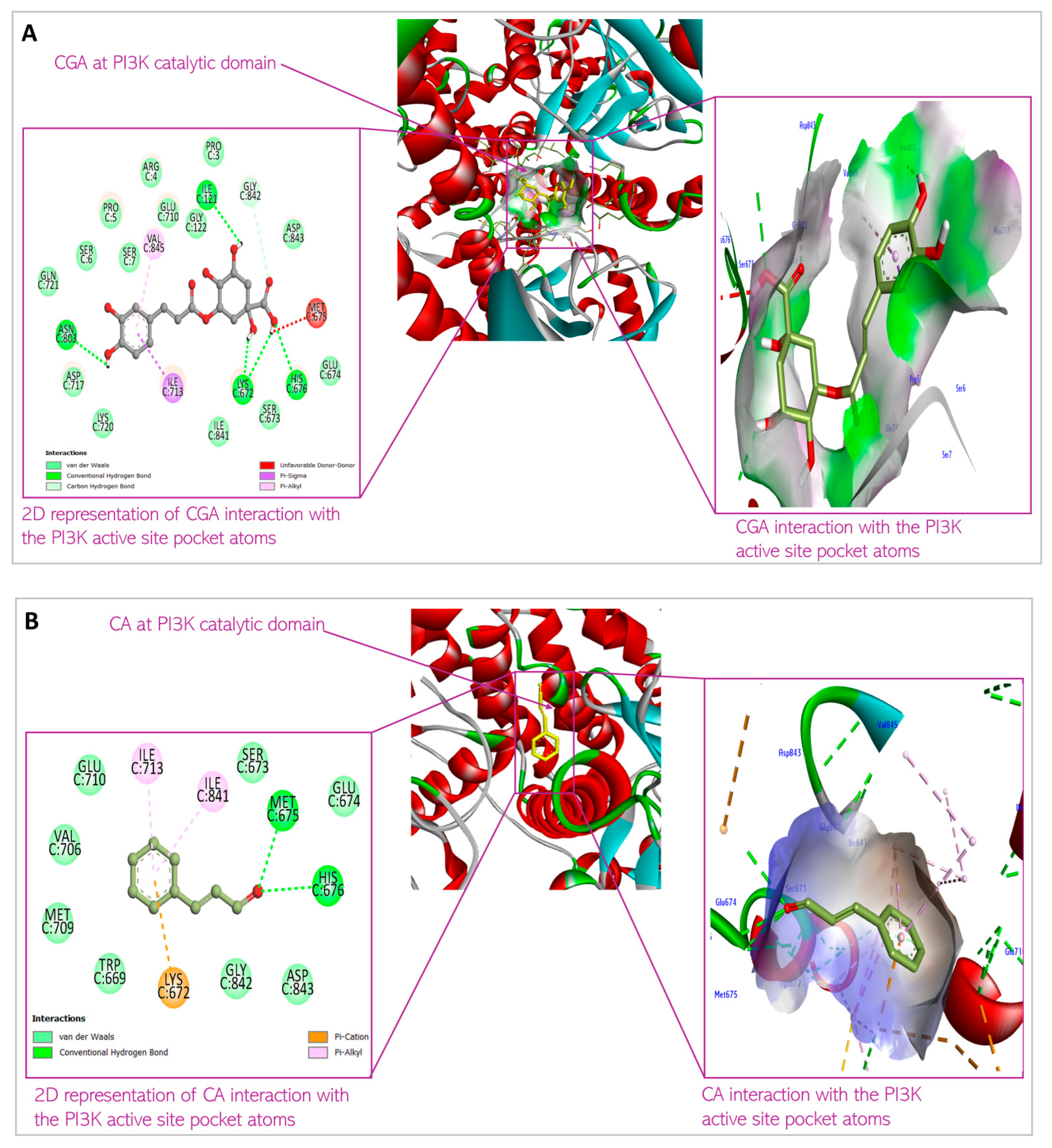 Biomedicines 13 01810 g005