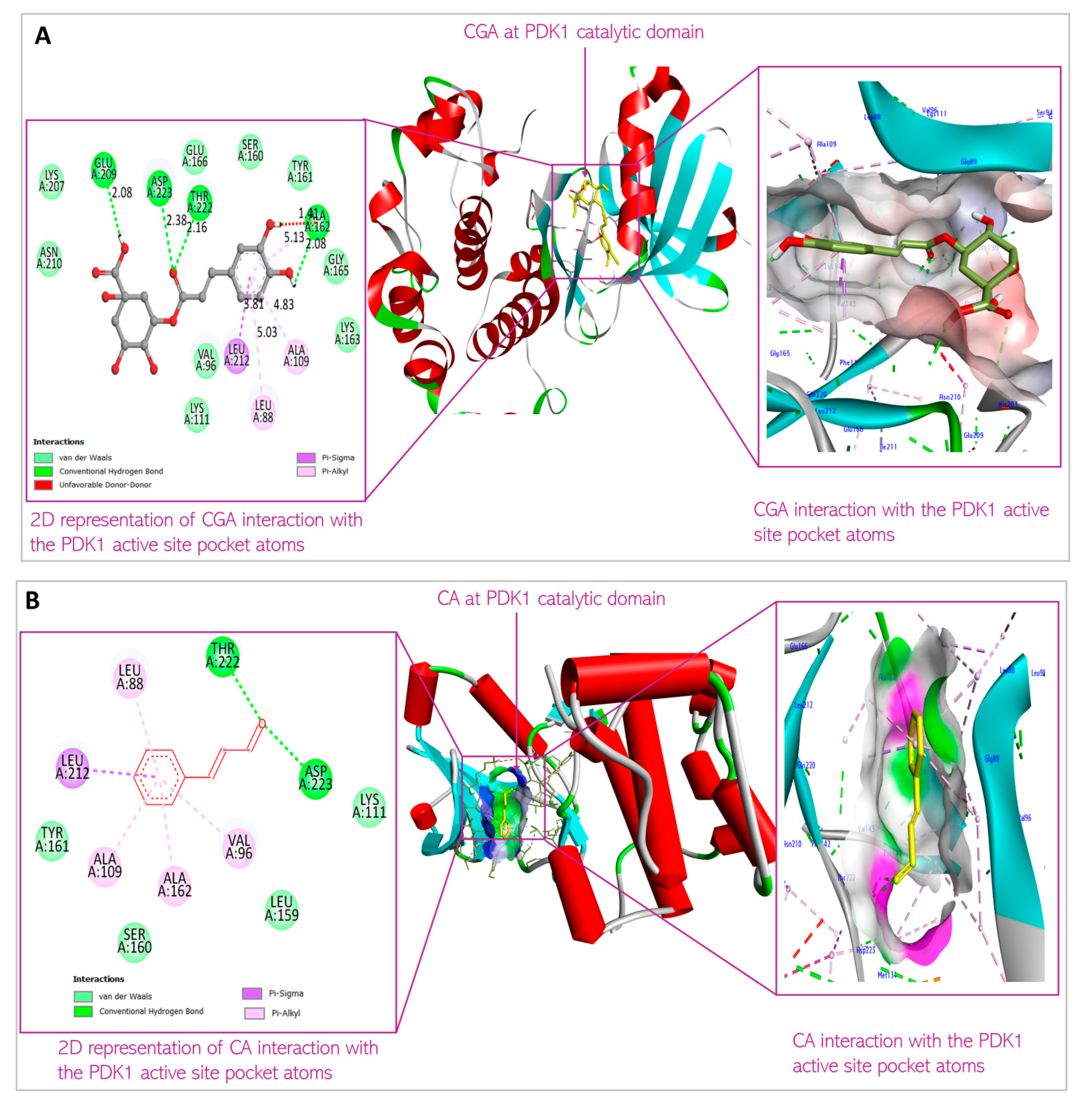 Biomedicines 13 01810 g006