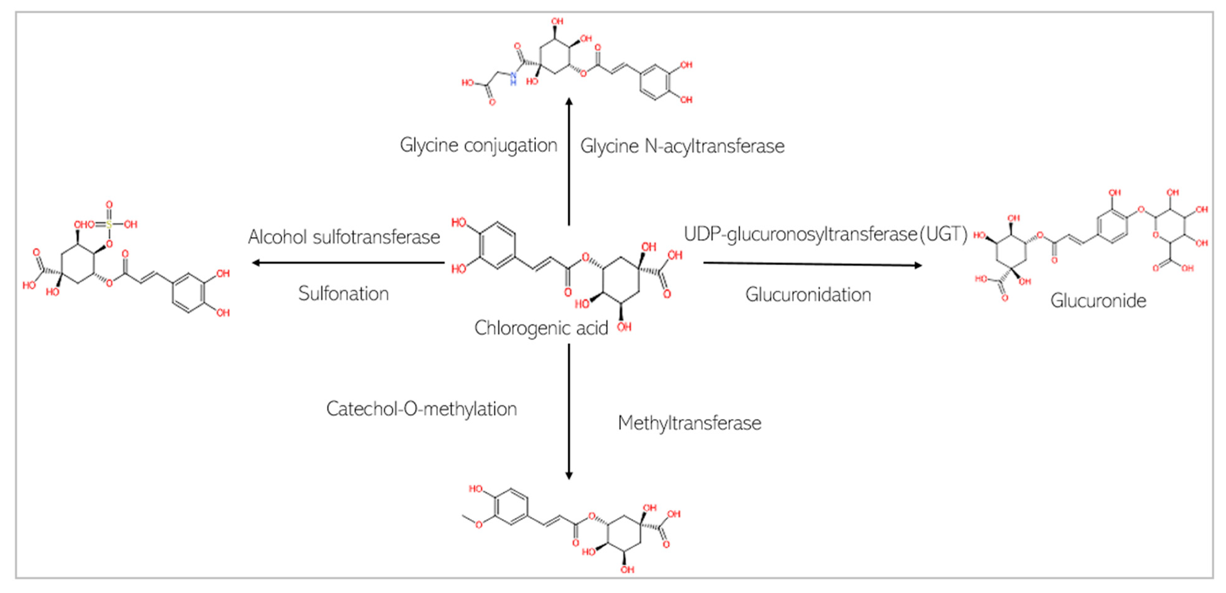 Biomedicines 13 01810 g007