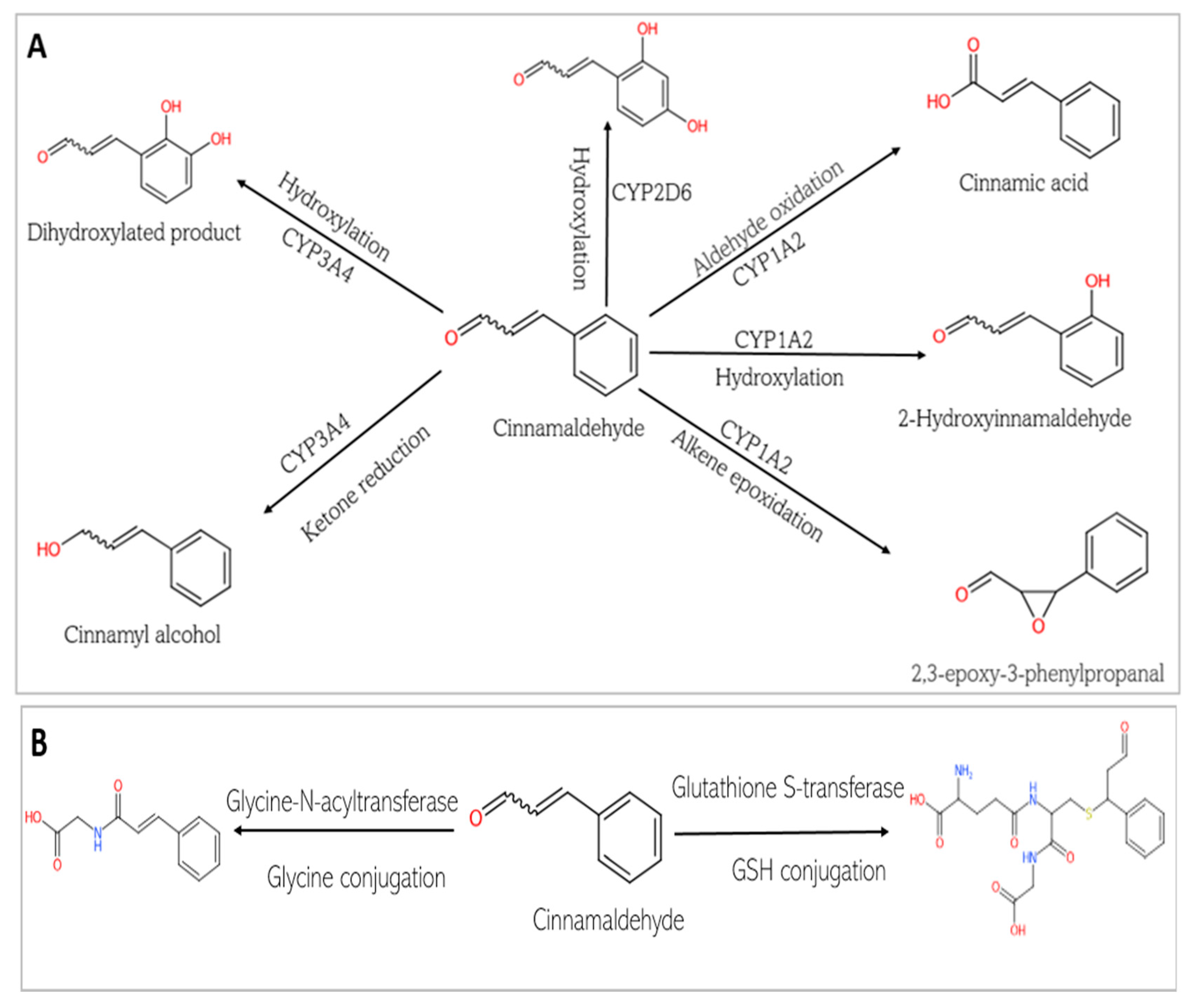 Biomedicines 13 01810 g008a
