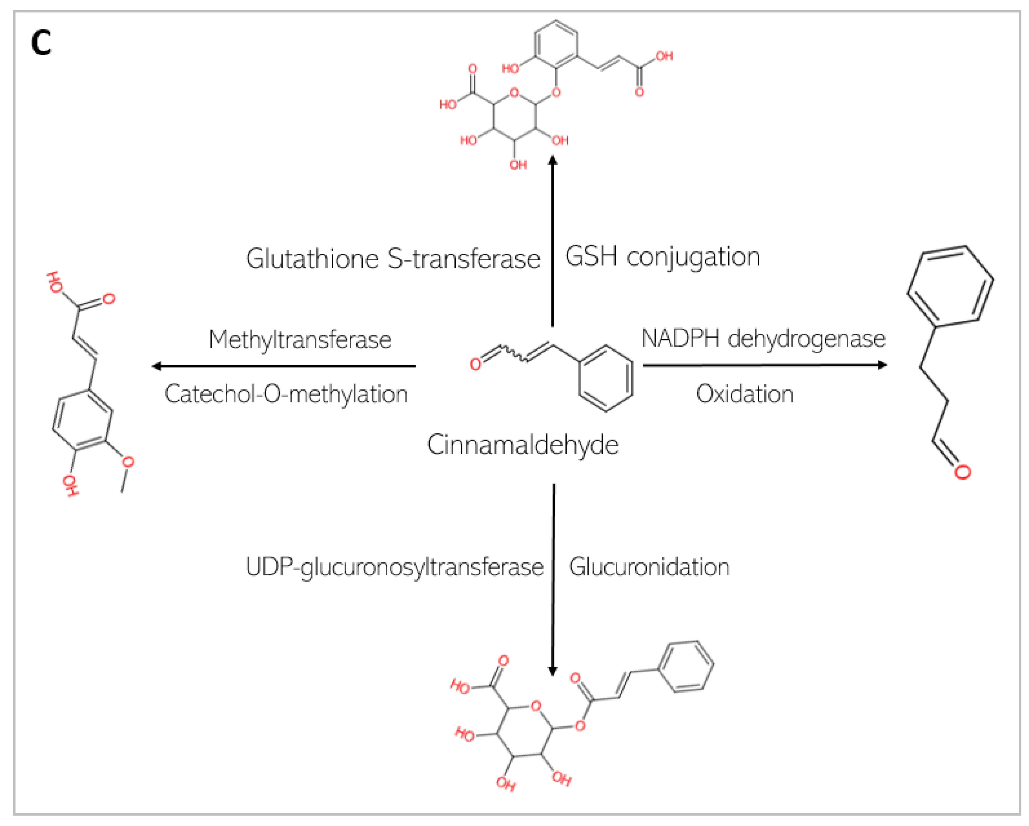 Biomedicines 13 01810 g008b
