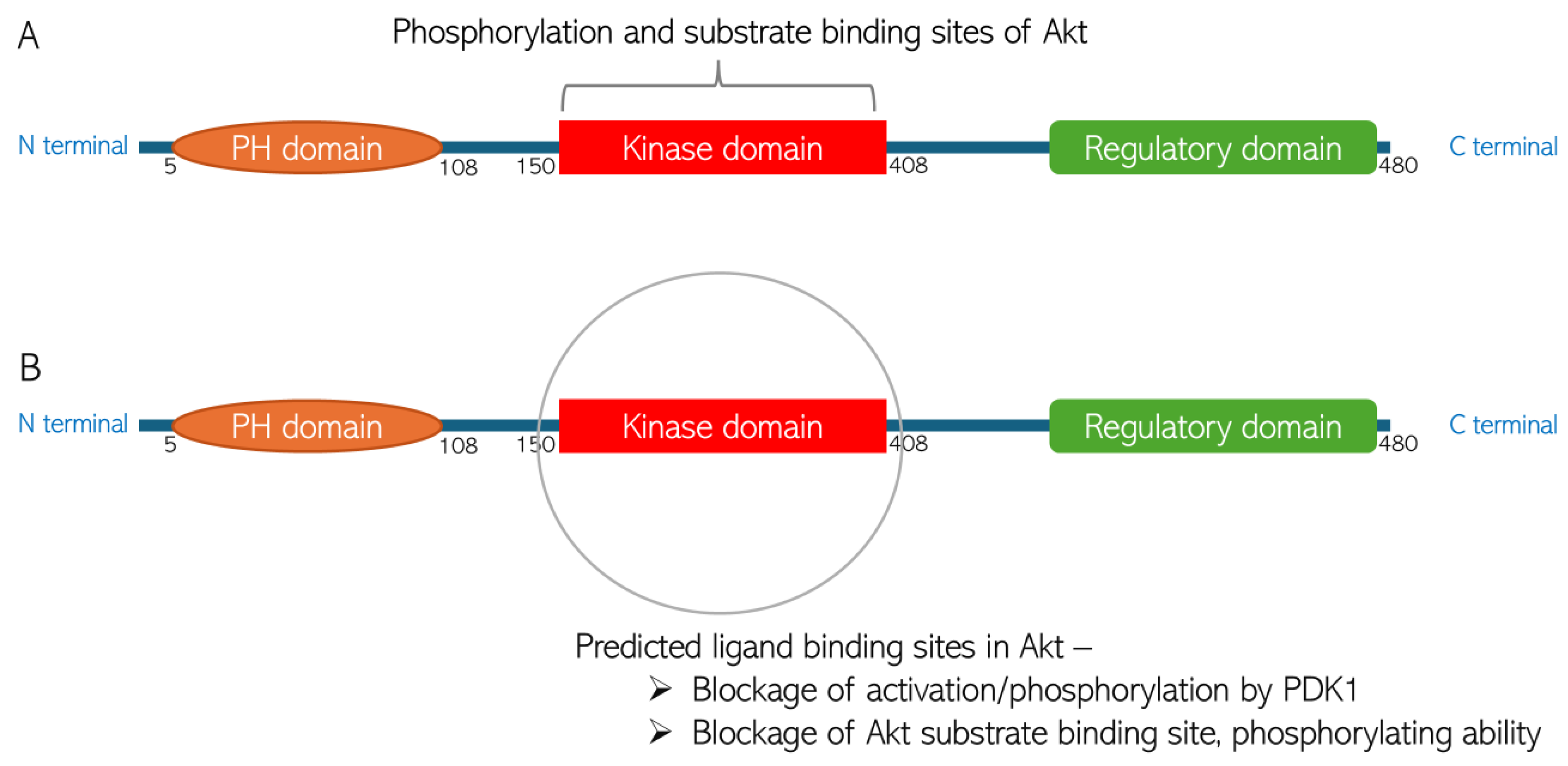Biomedicines 13 01810 g009