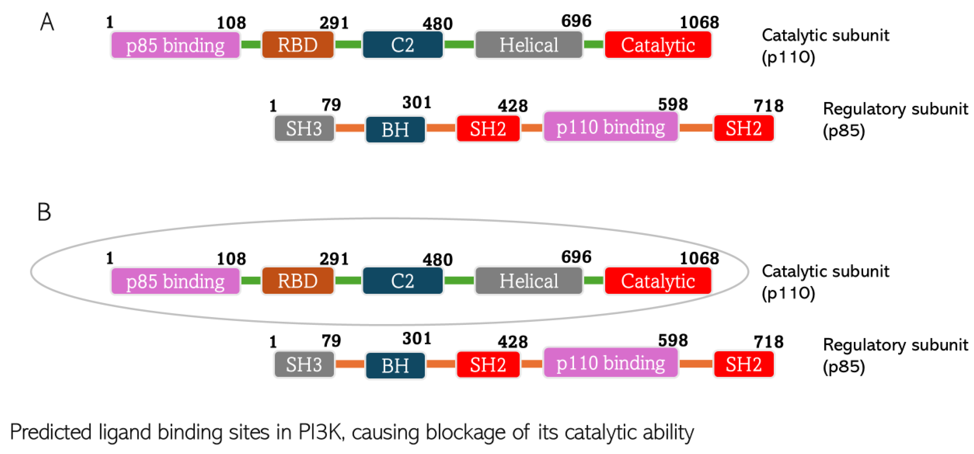 Biomedicines 13 01810 g010