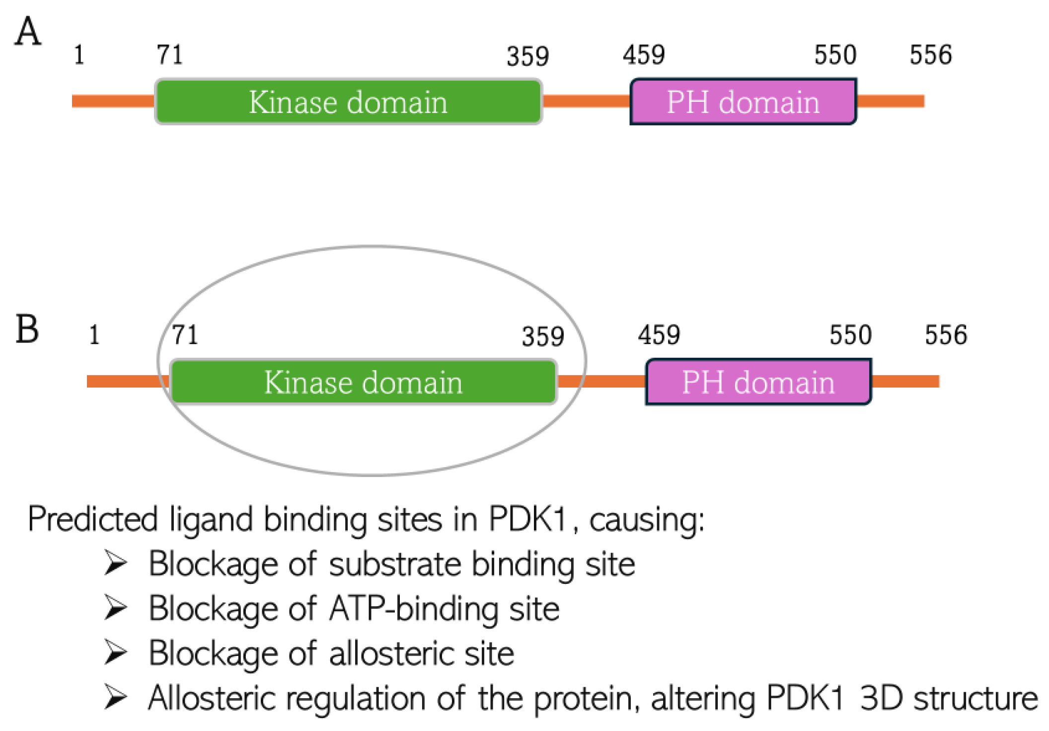 Biomedicines 13 01810 g011