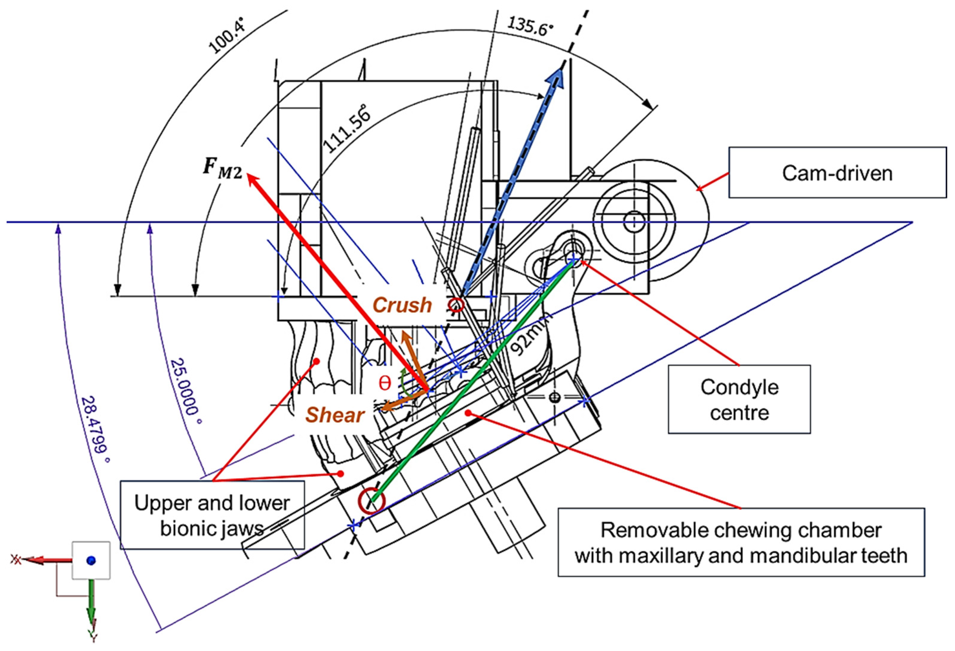 Biomedicines 13 01811 g002