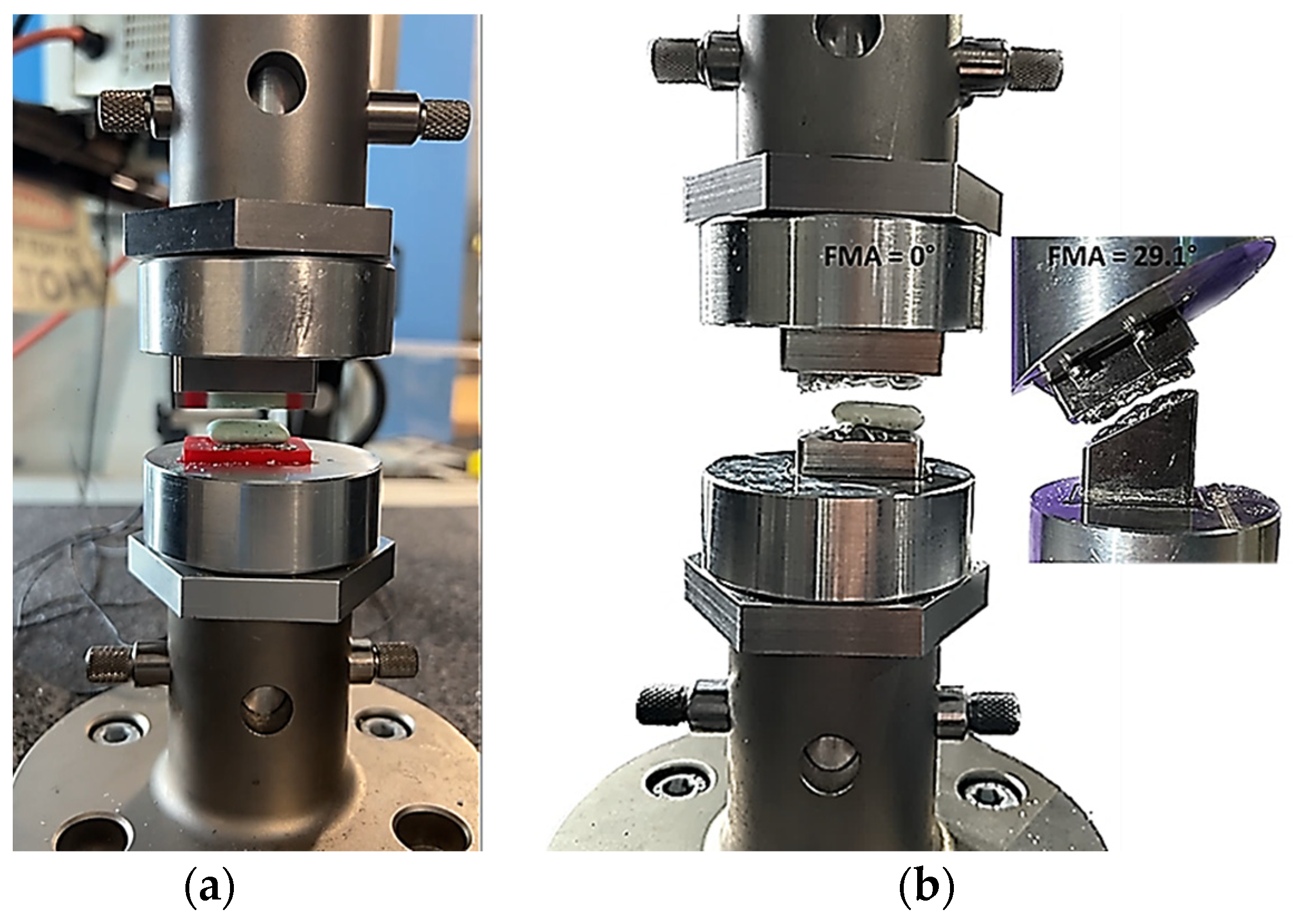 Biomedicines 13 01811 g004