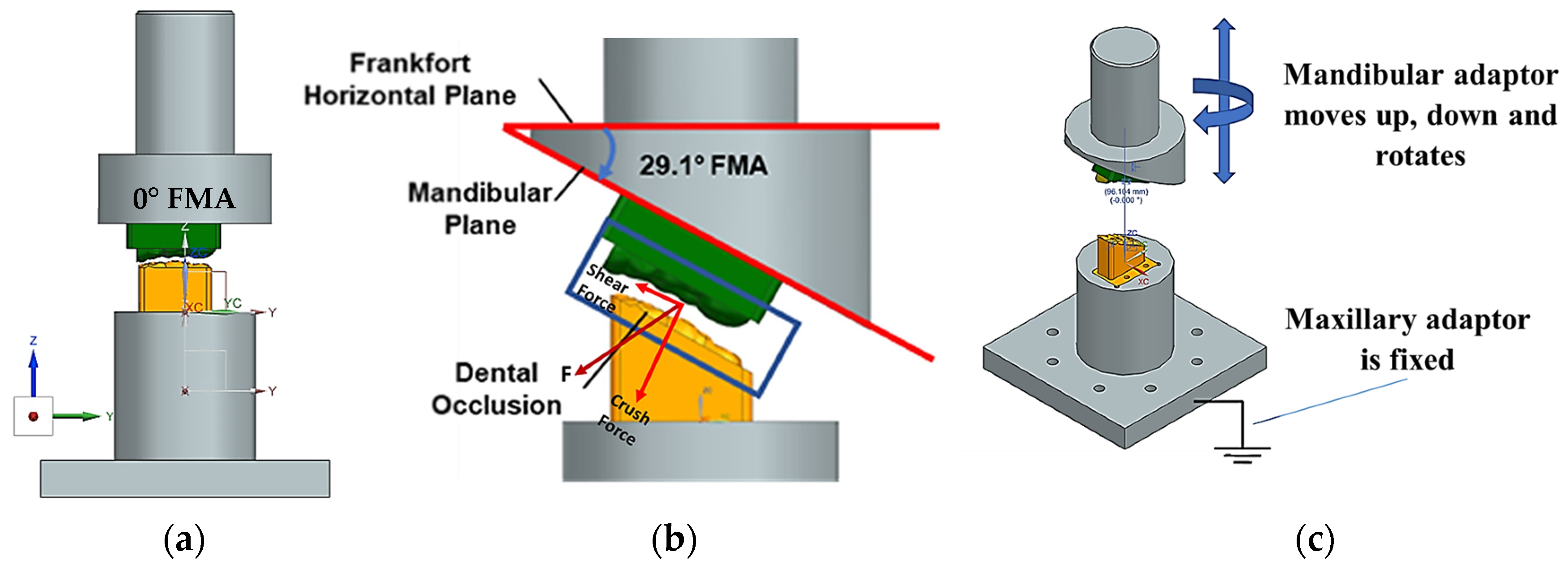 Biomedicines 13 01811 g005
