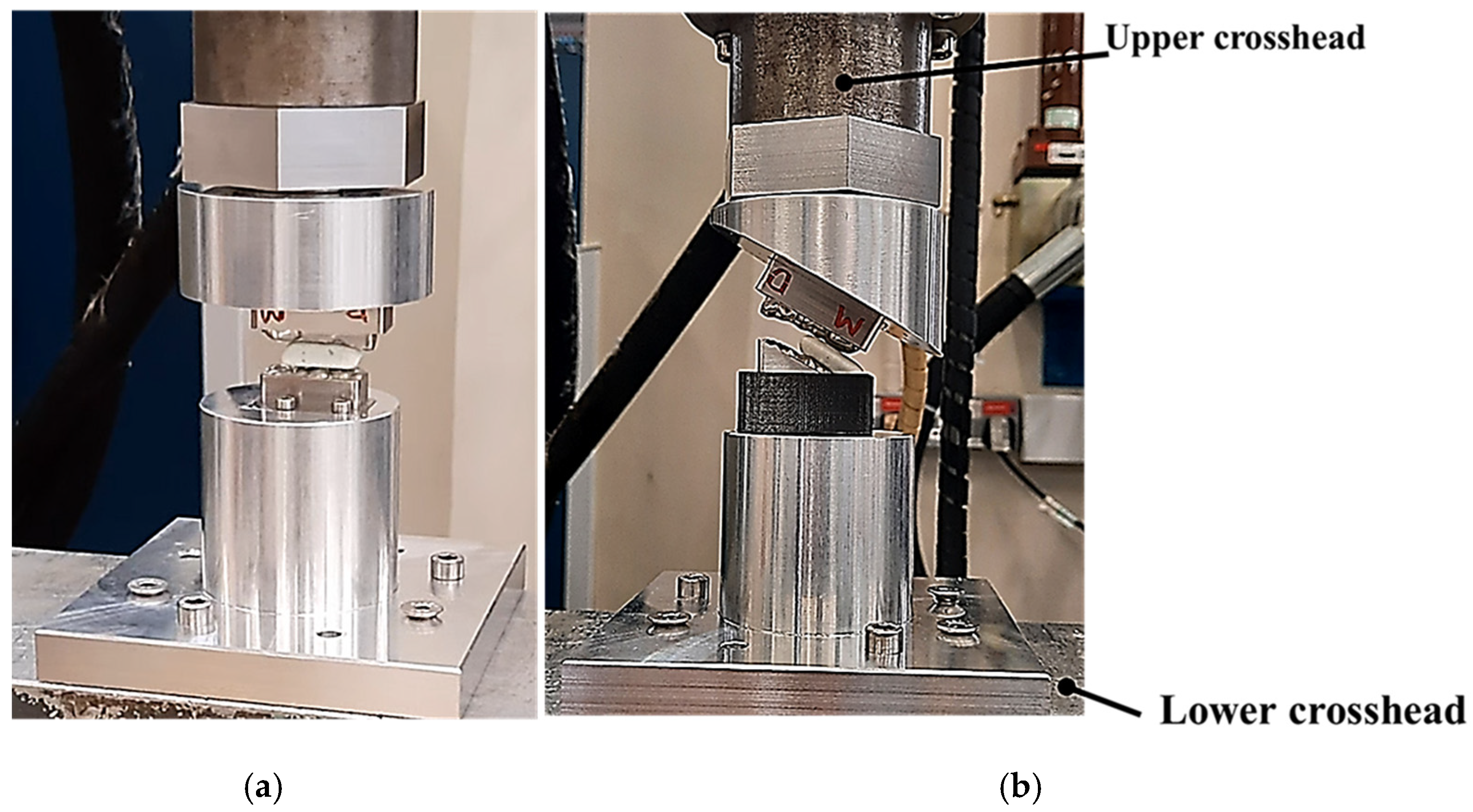 Biomedicines 13 01811 g006