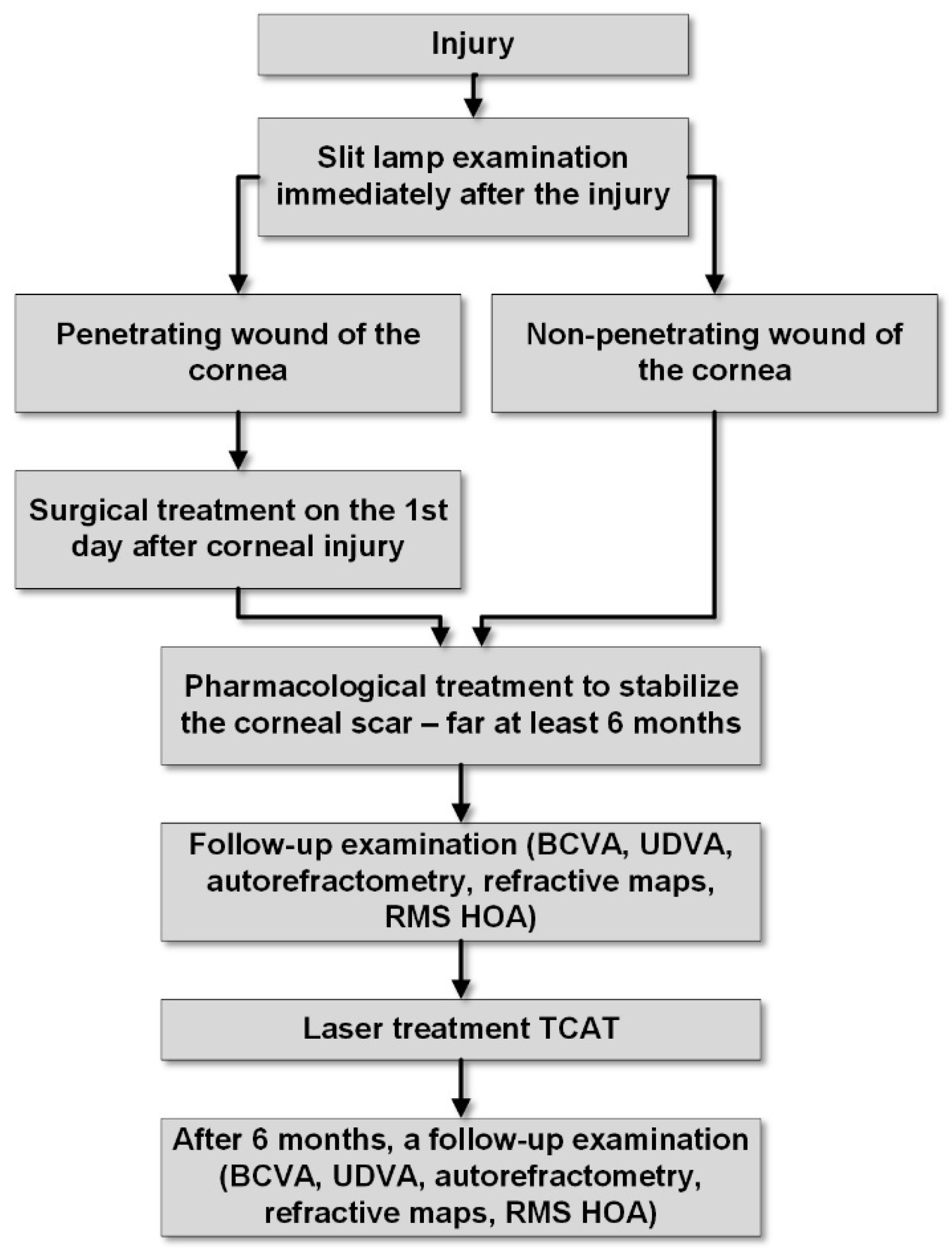 Biomedicines 13 01818 g001