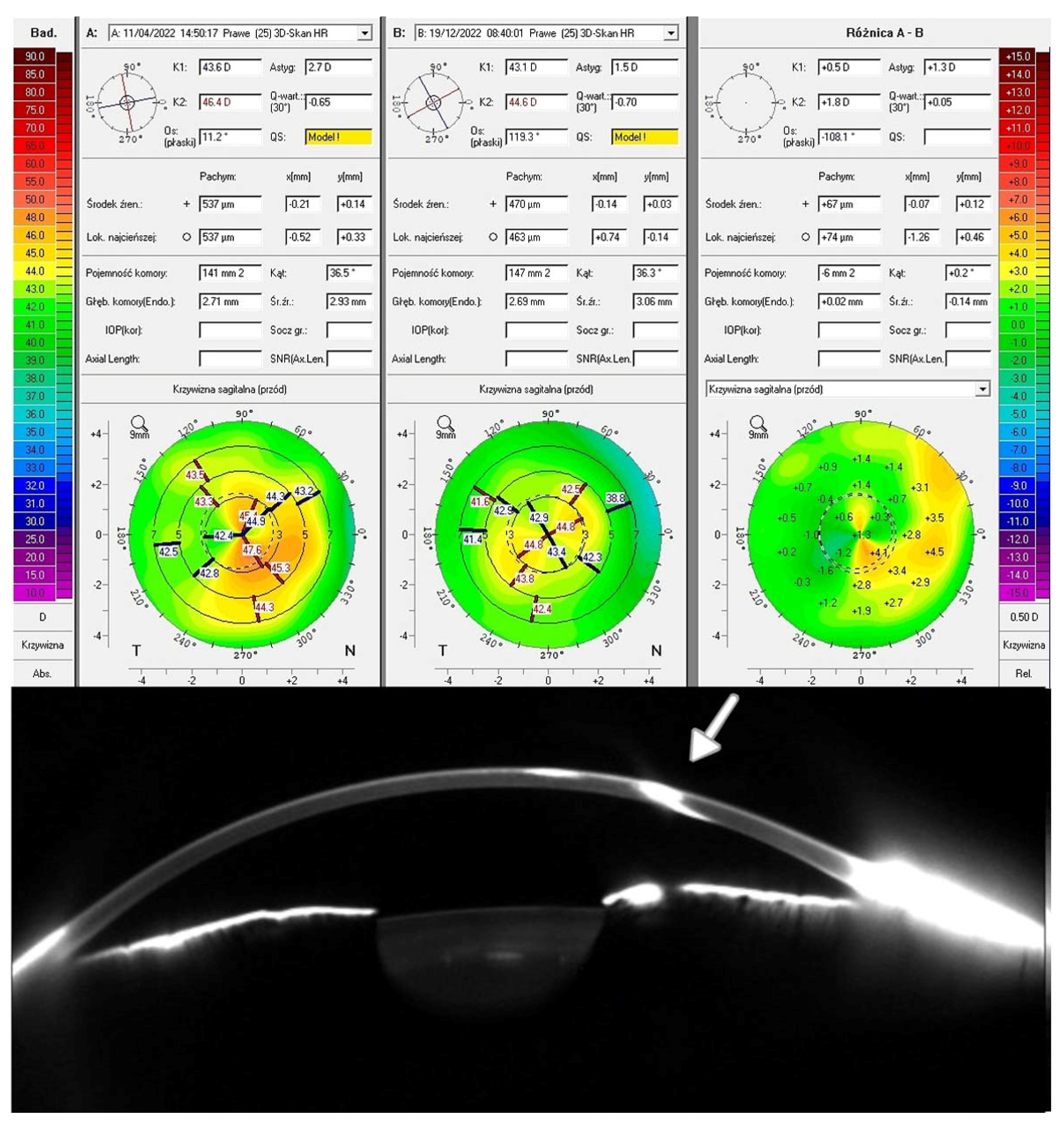 Biomedicines 13 01818 g002