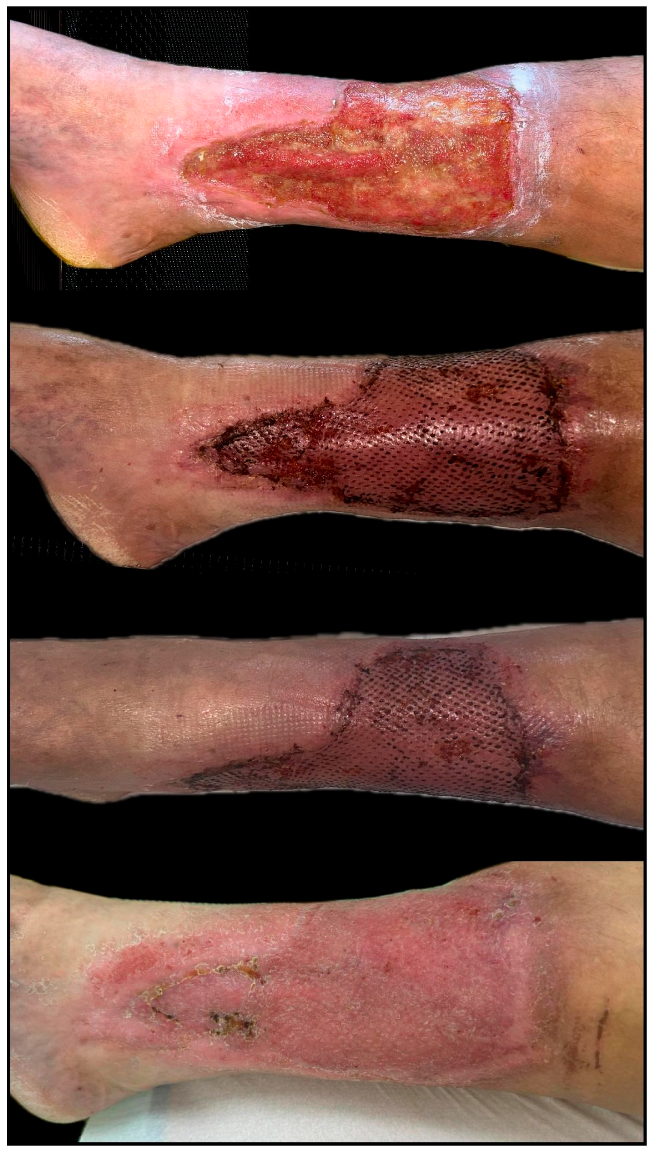 Biomedicines 13 01827 g009