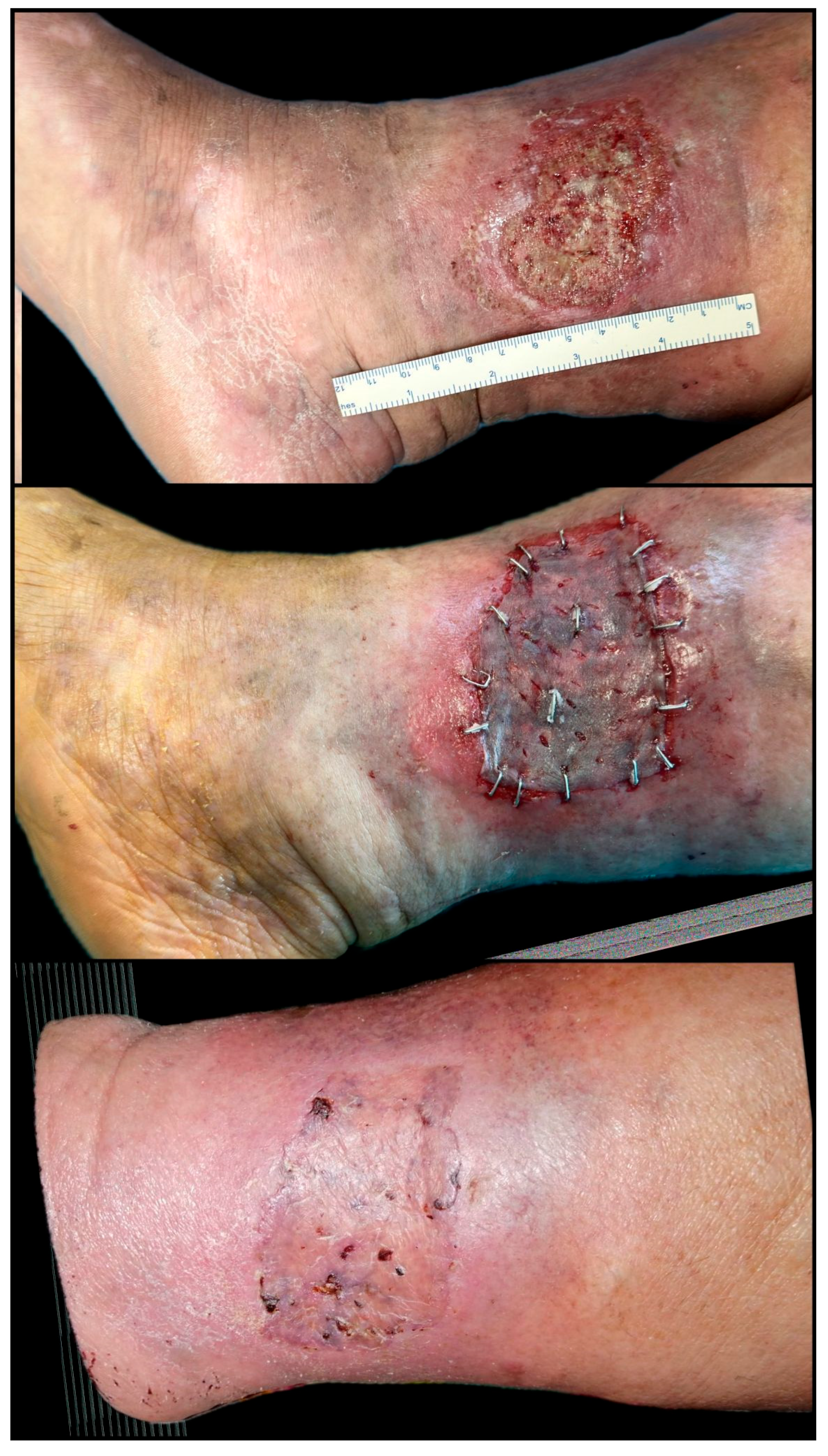 Biomedicines 13 01827 g010