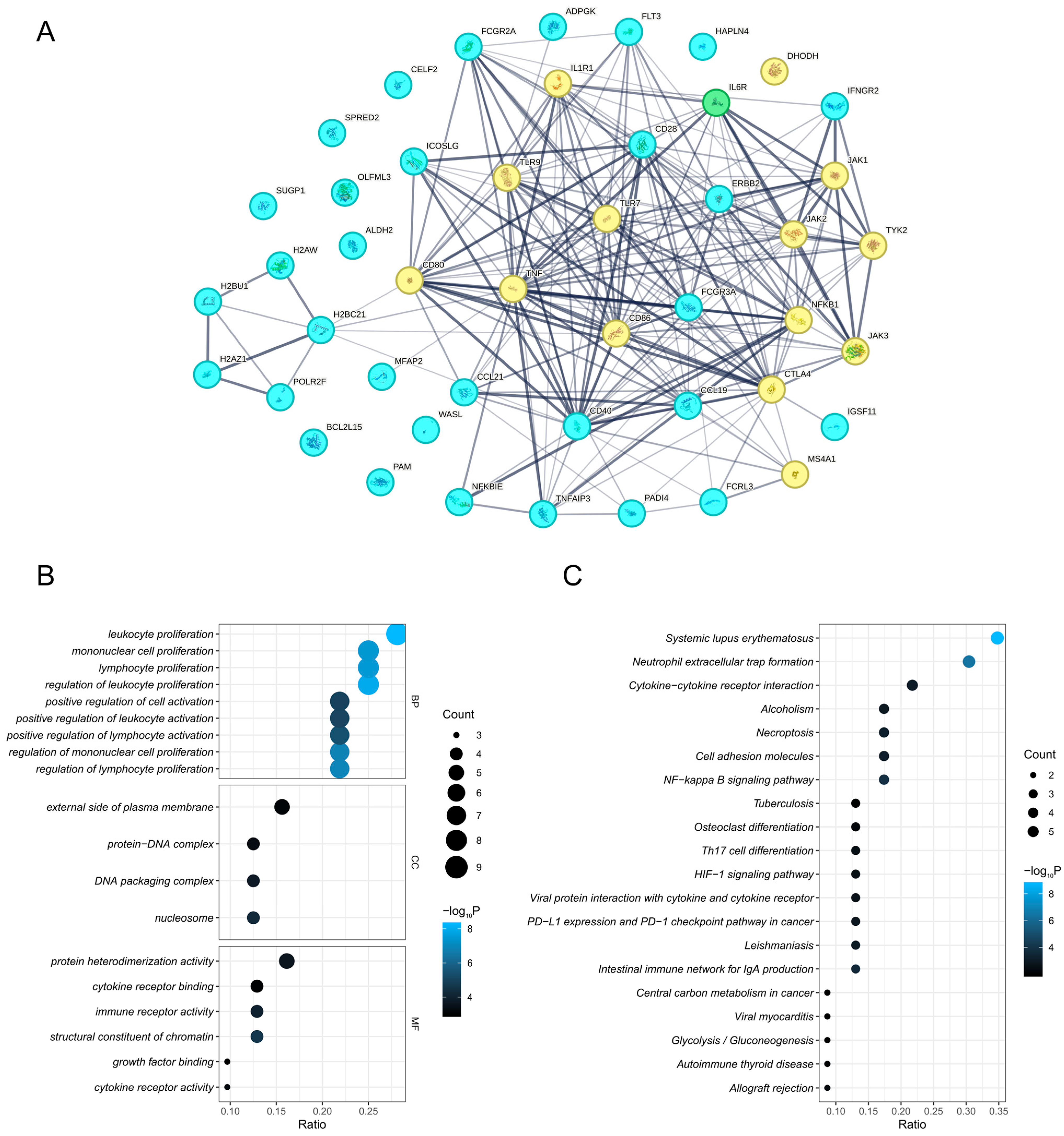 Biomedicines 13 01841 g005