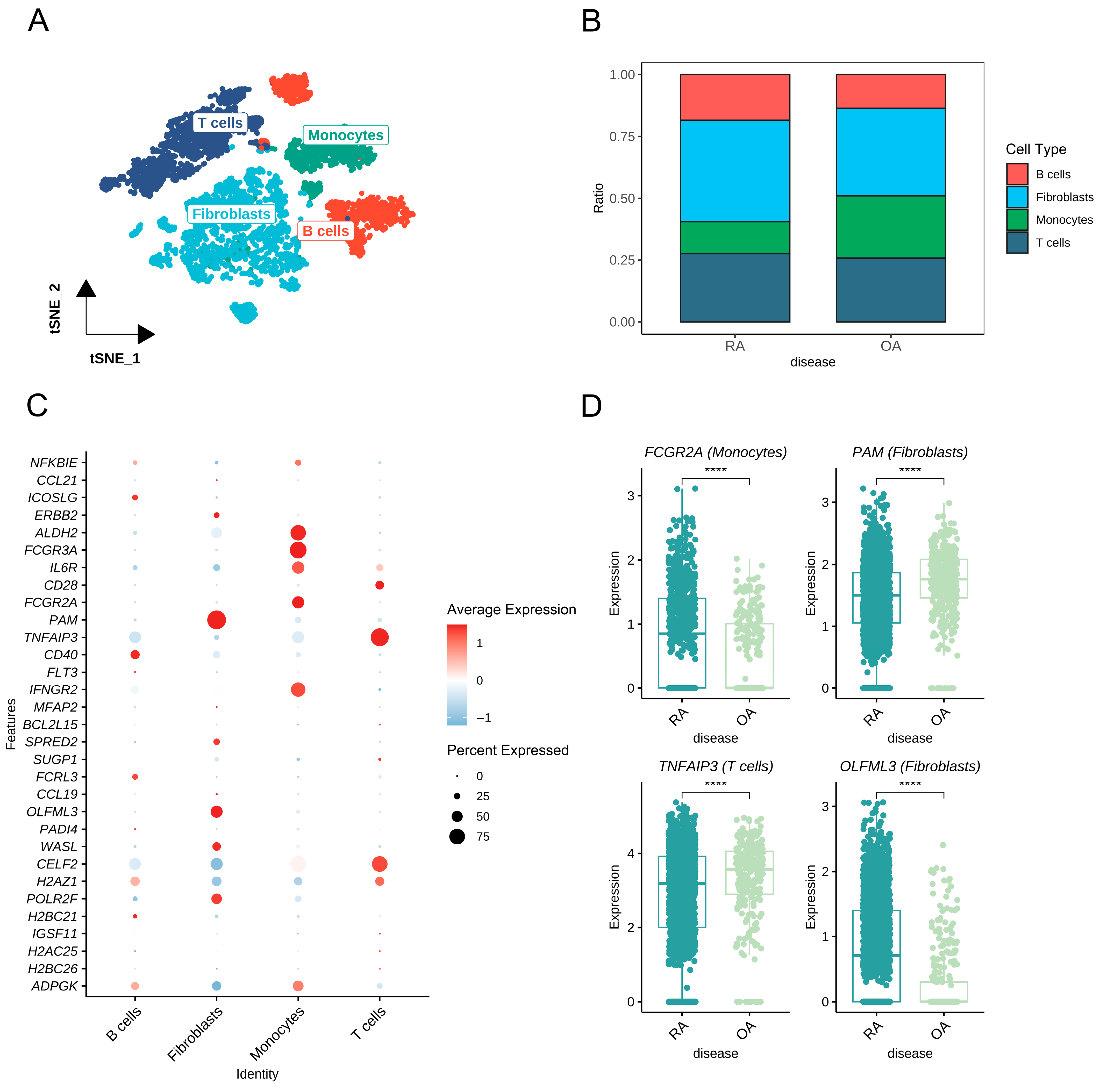 Biomedicines 13 01841 g006