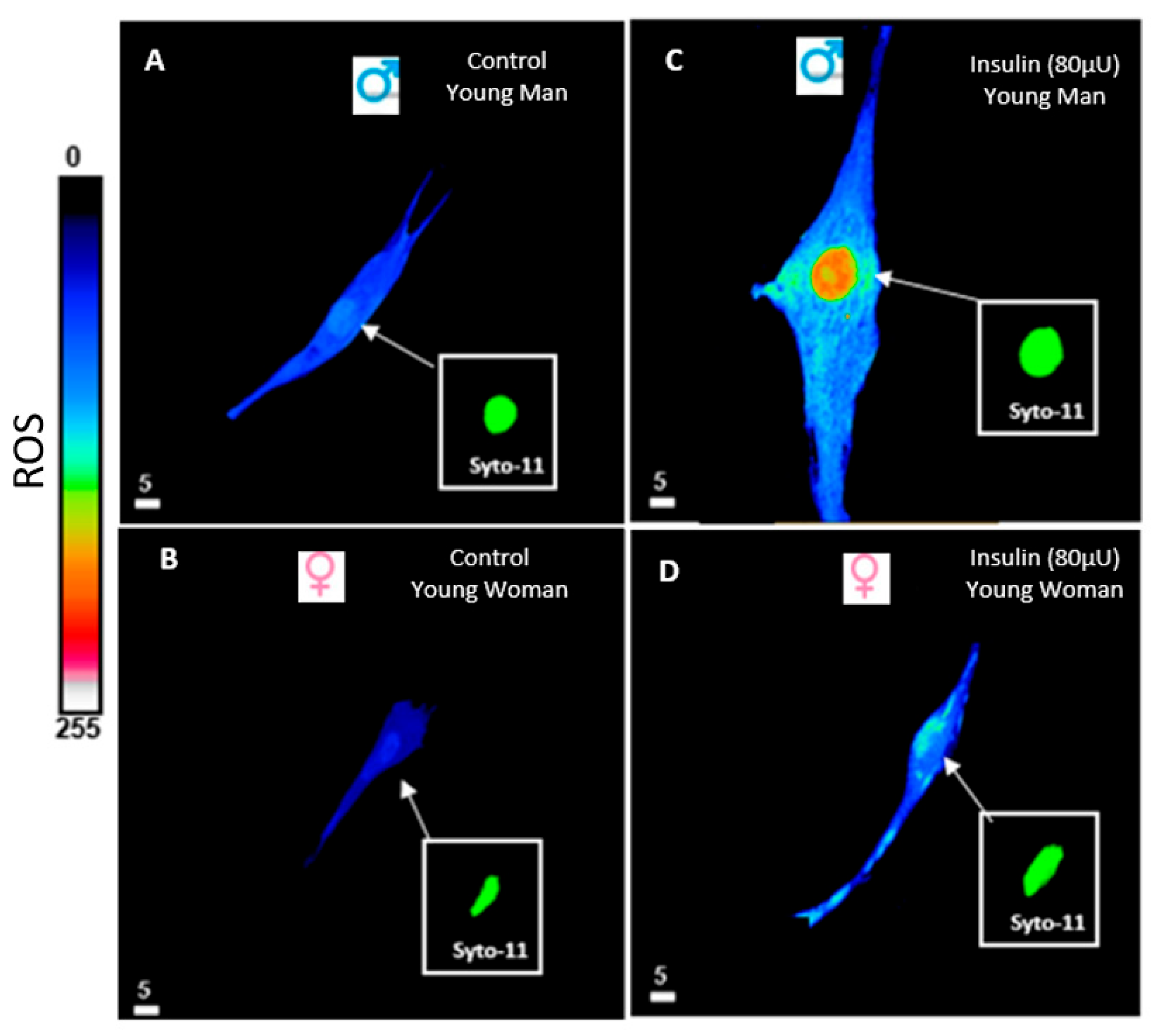 Biomedicines 13 01842 g005