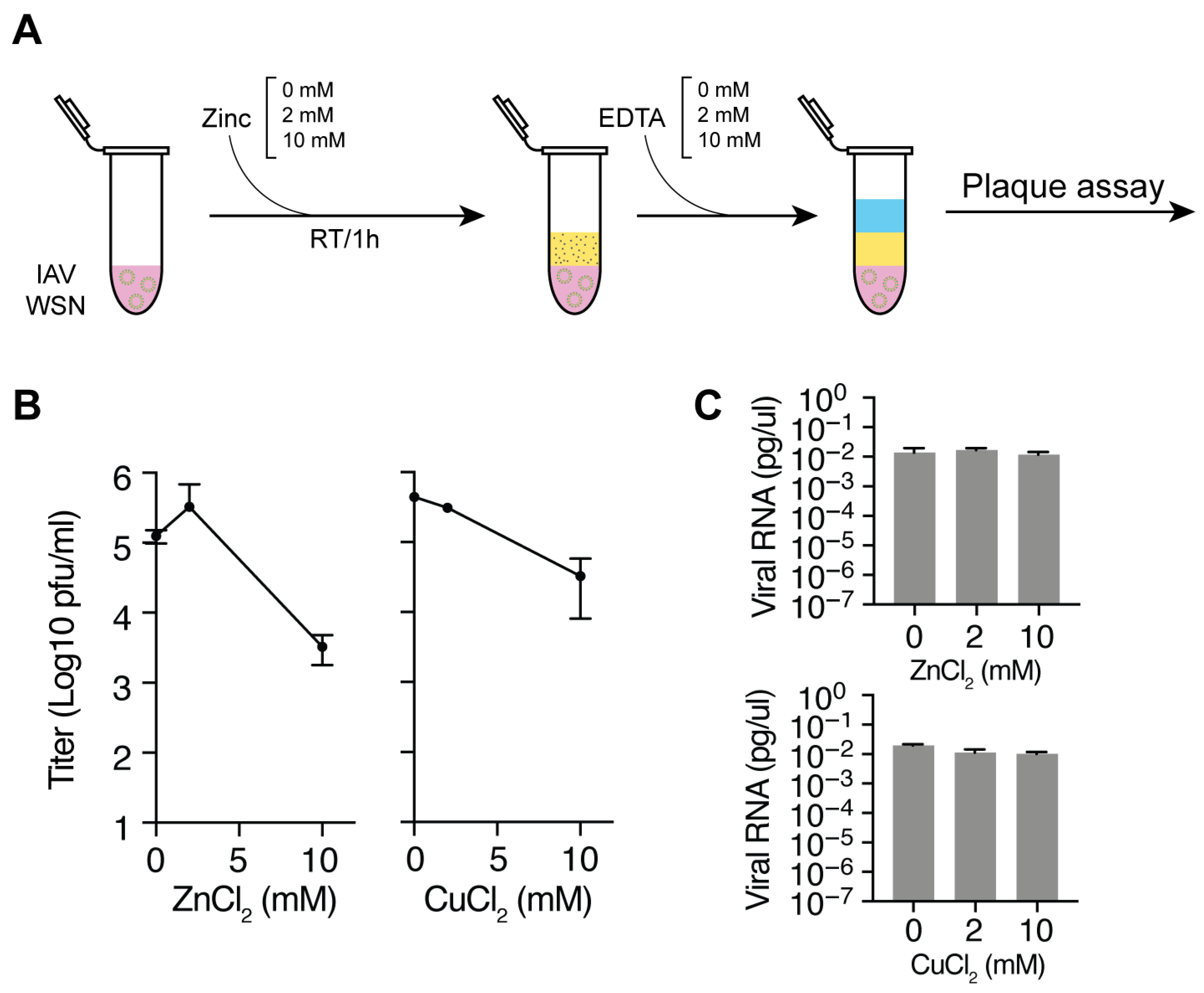 Biomedicines 13 01843 g001