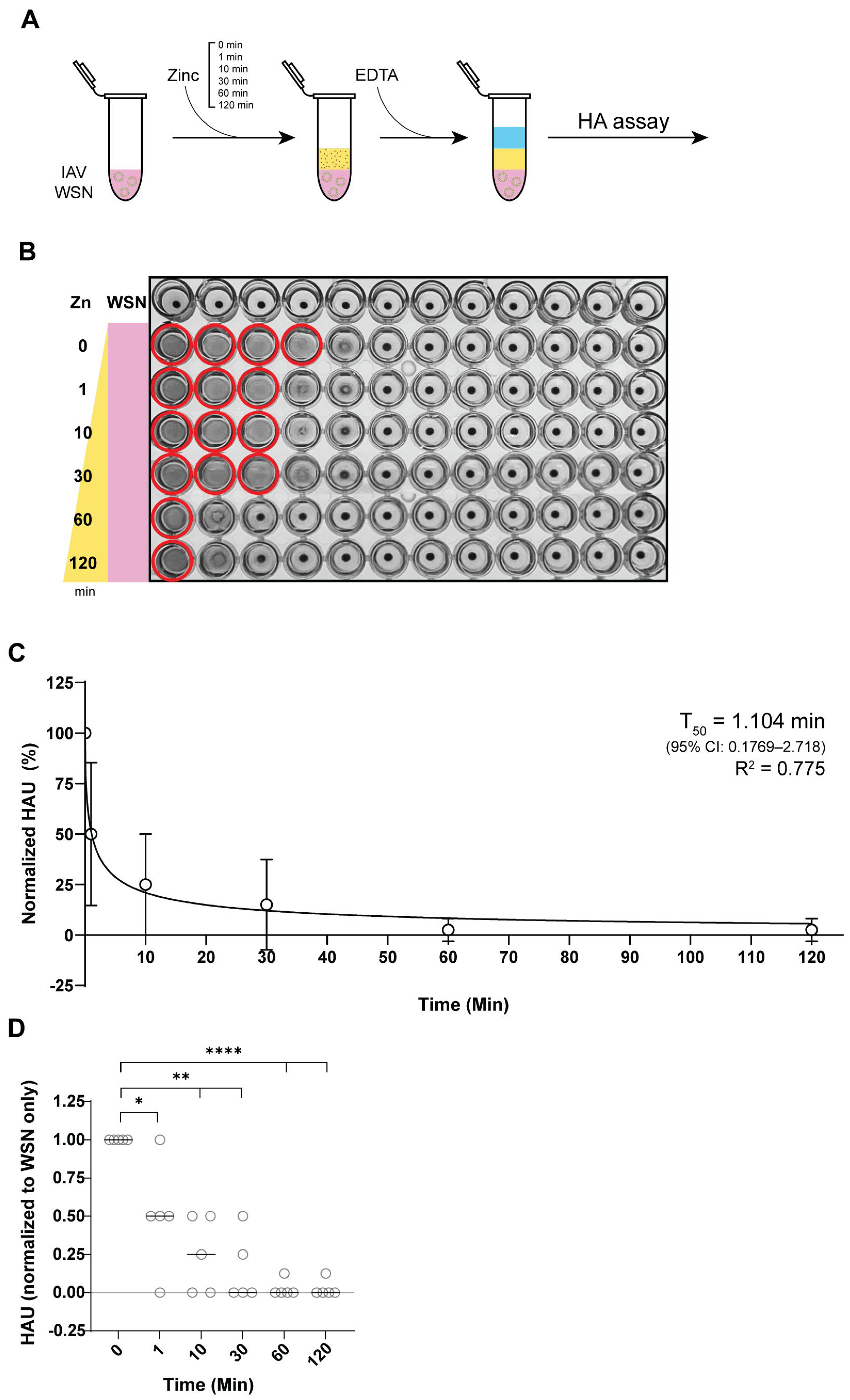 Biomedicines 13 01843 g003