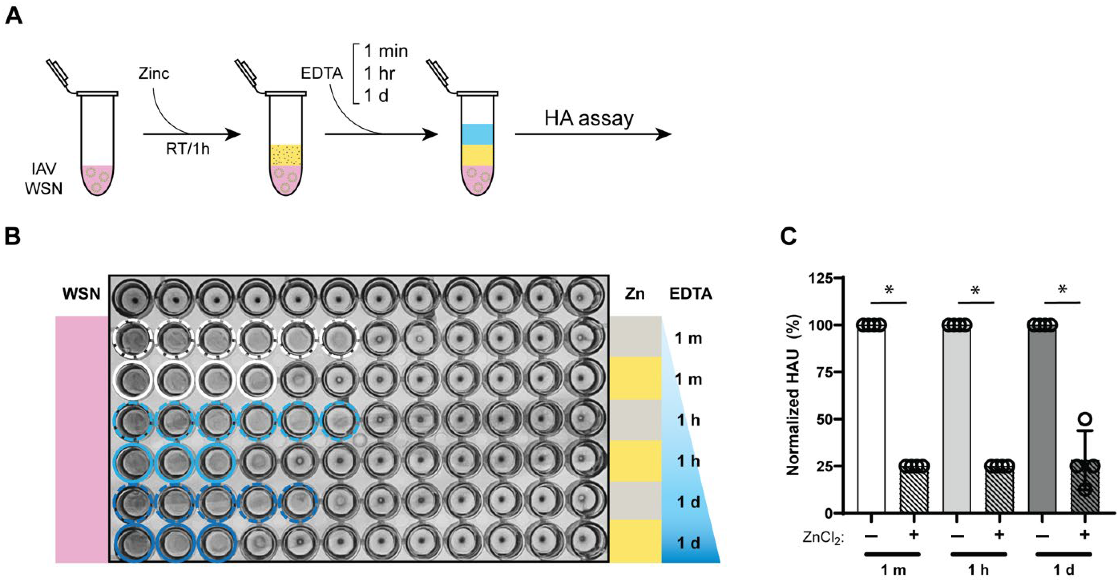 Biomedicines 13 01843 g004