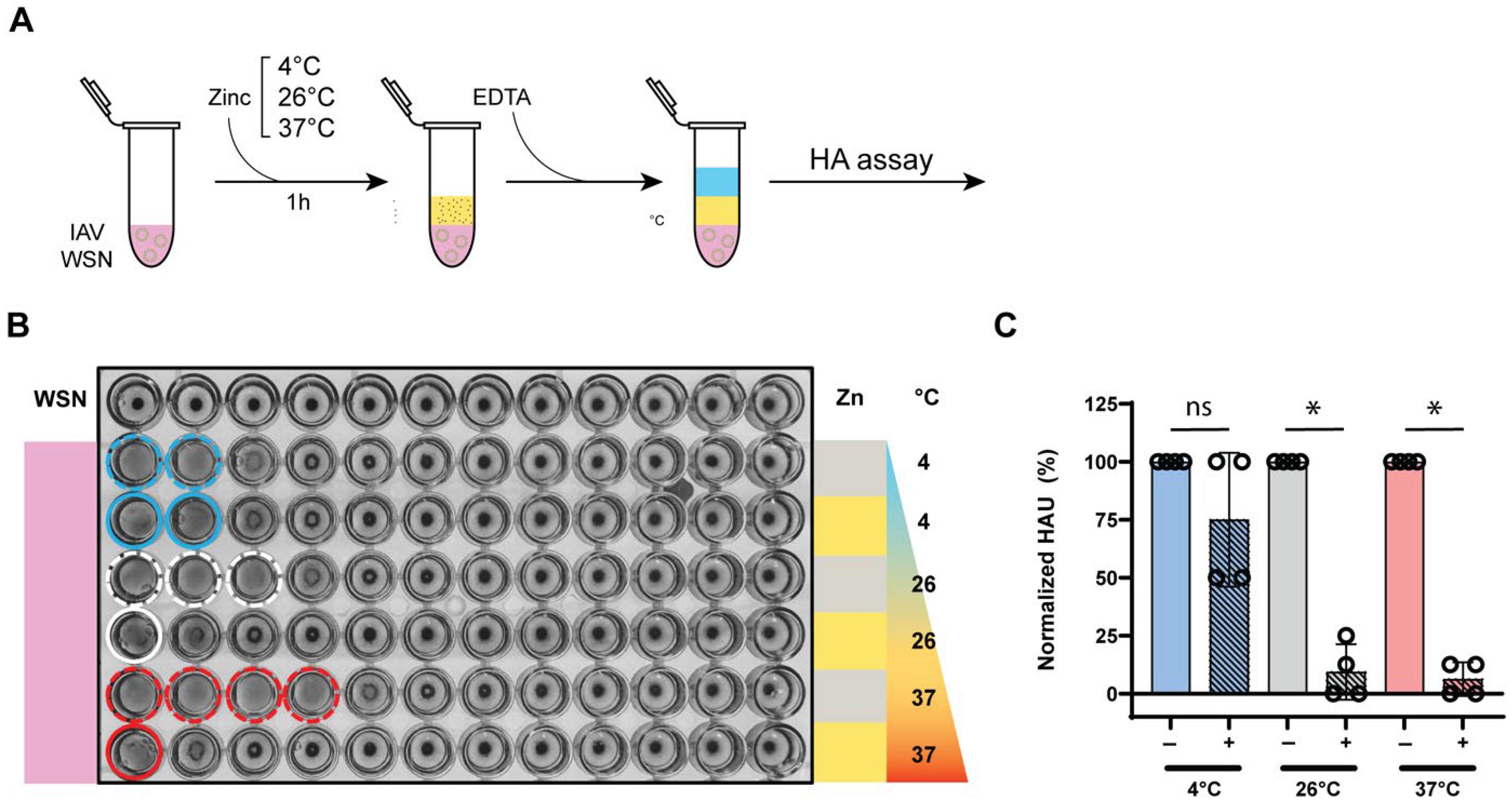 Biomedicines 13 01843 g005