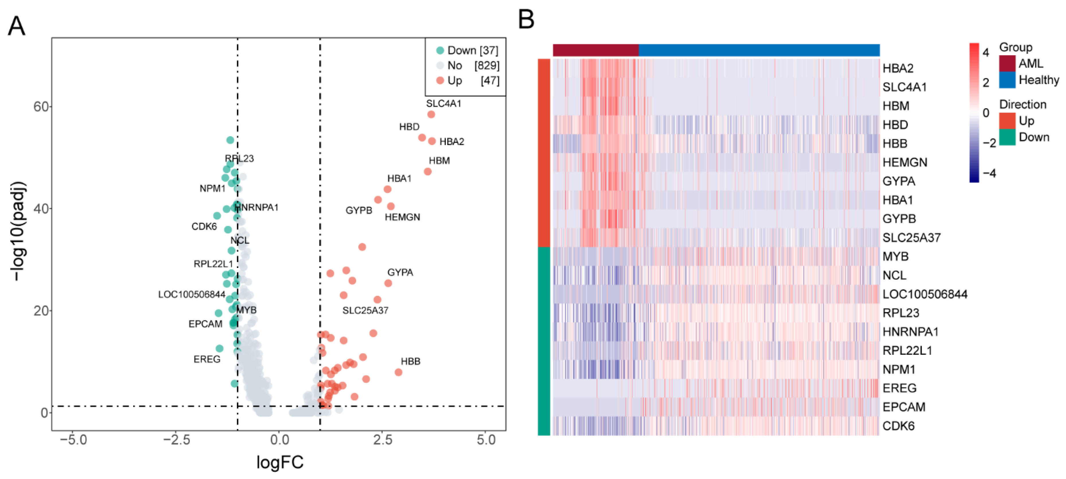 Biomedicines 13 01845 g002