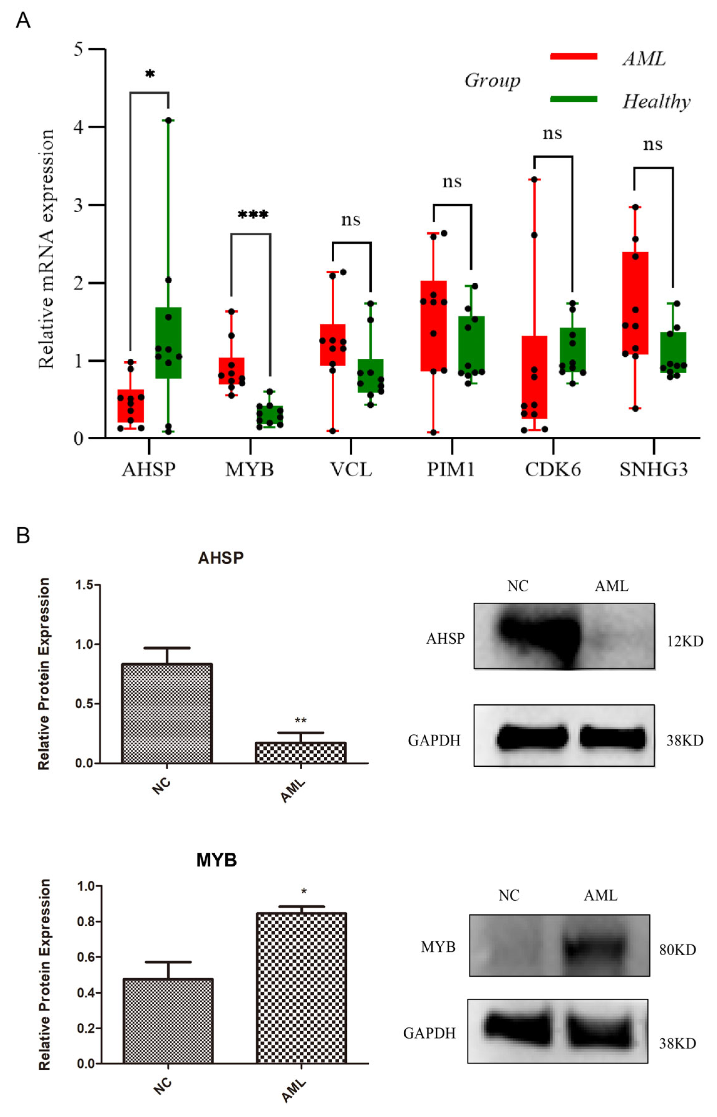 Biomedicines 13 01845 g007