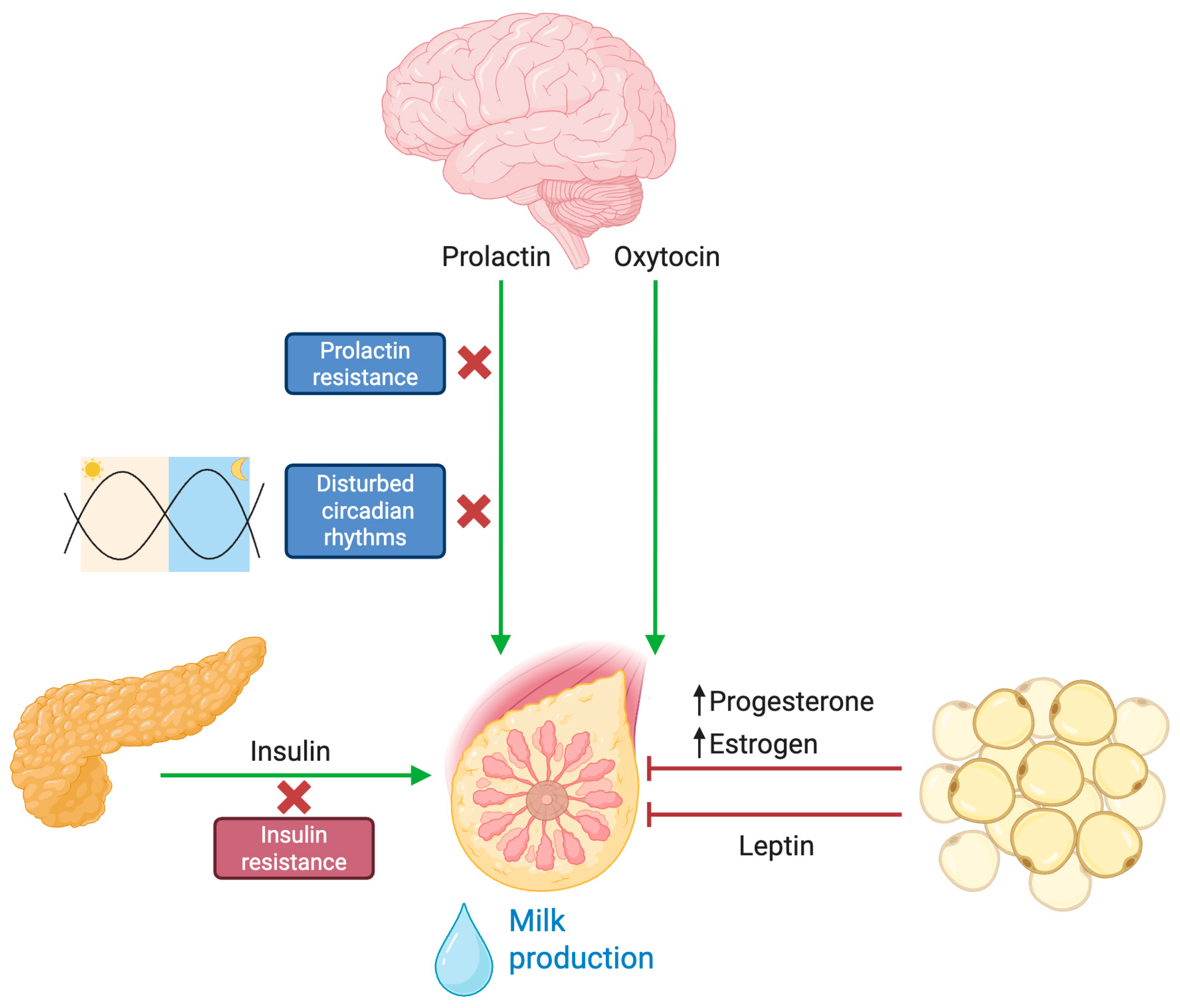 Biomedicines 13 01848 g002