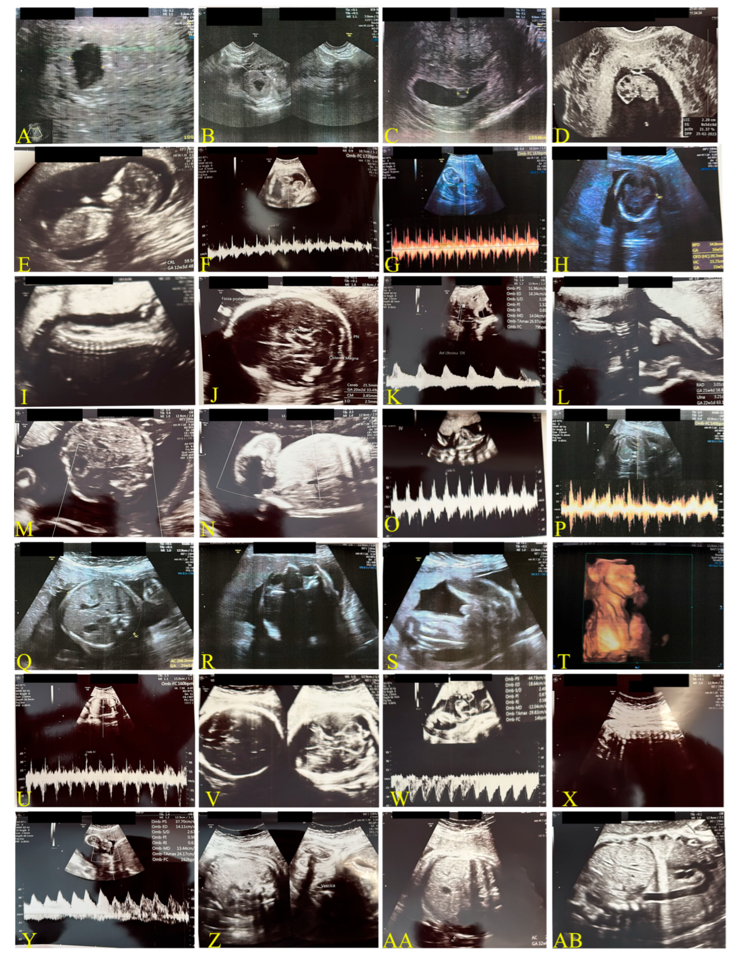 Biomedicines 13 01858 g002