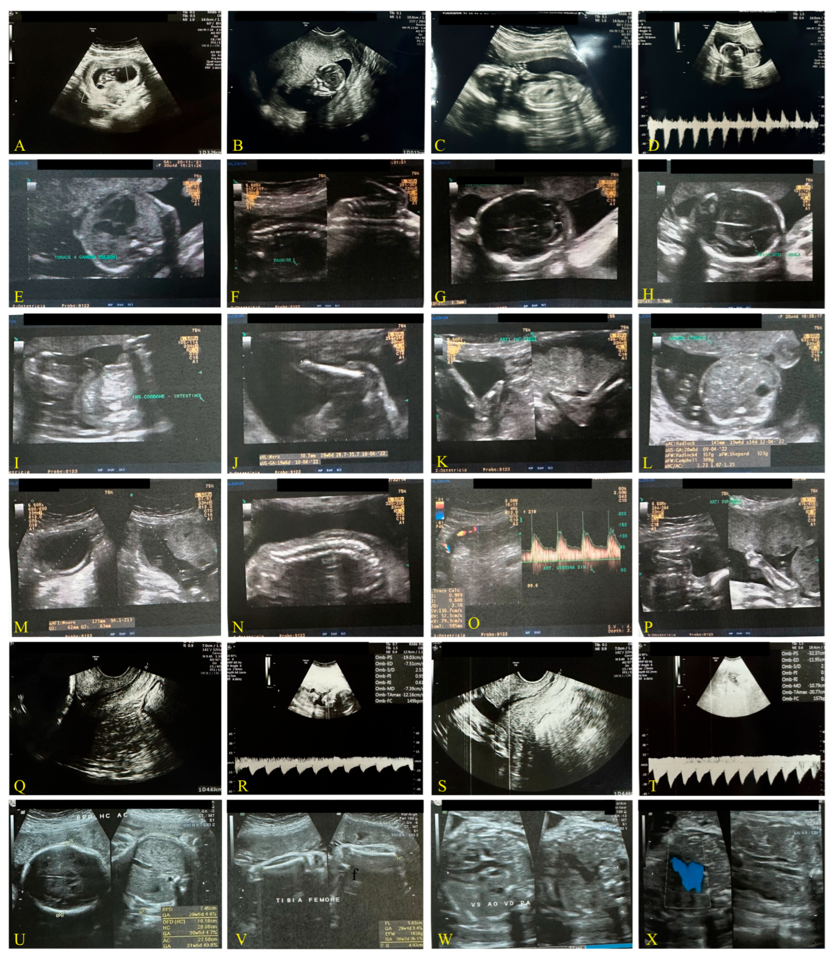 Biomedicines 13 01858 g003