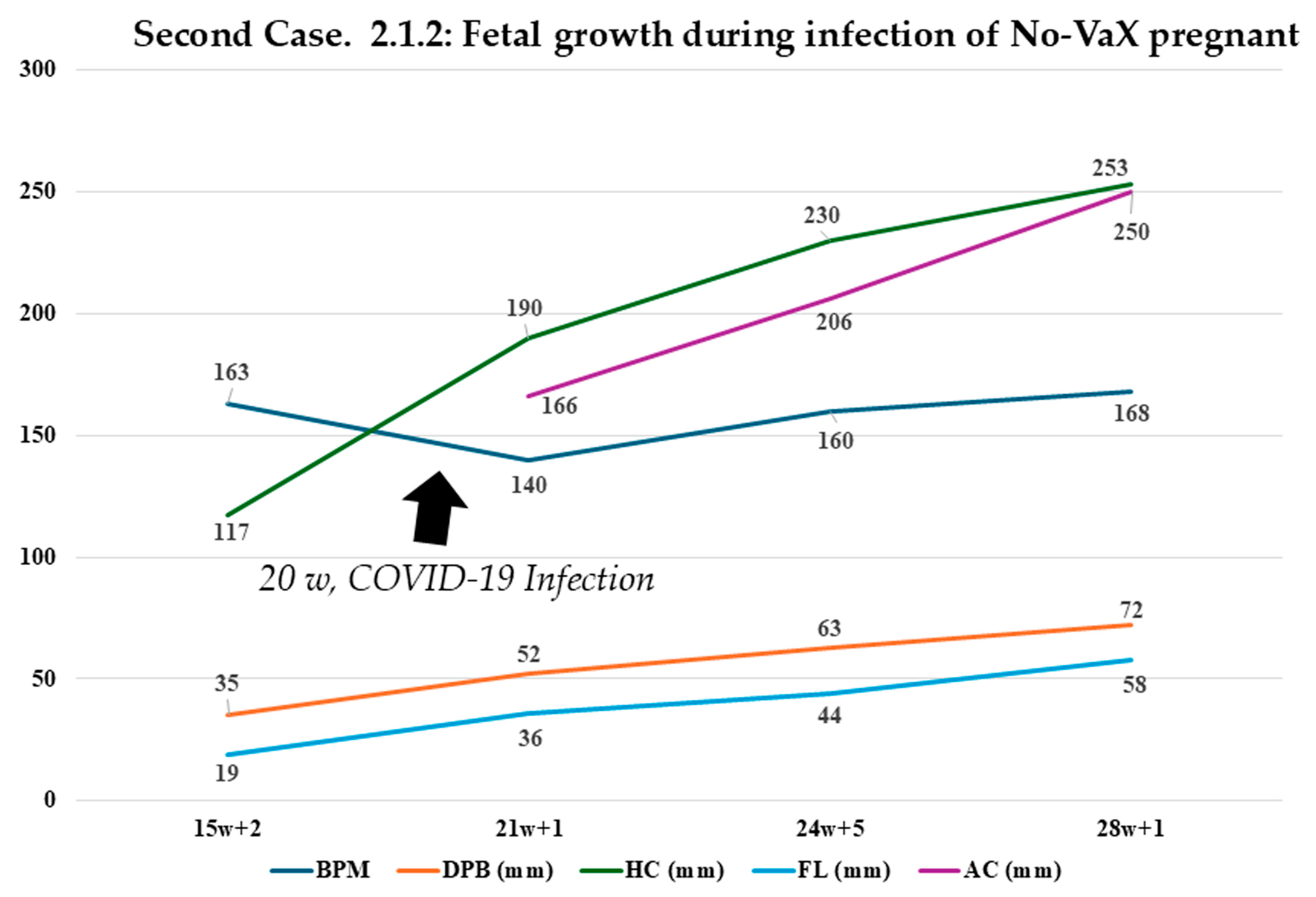 Biomedicines 13 01858 g004